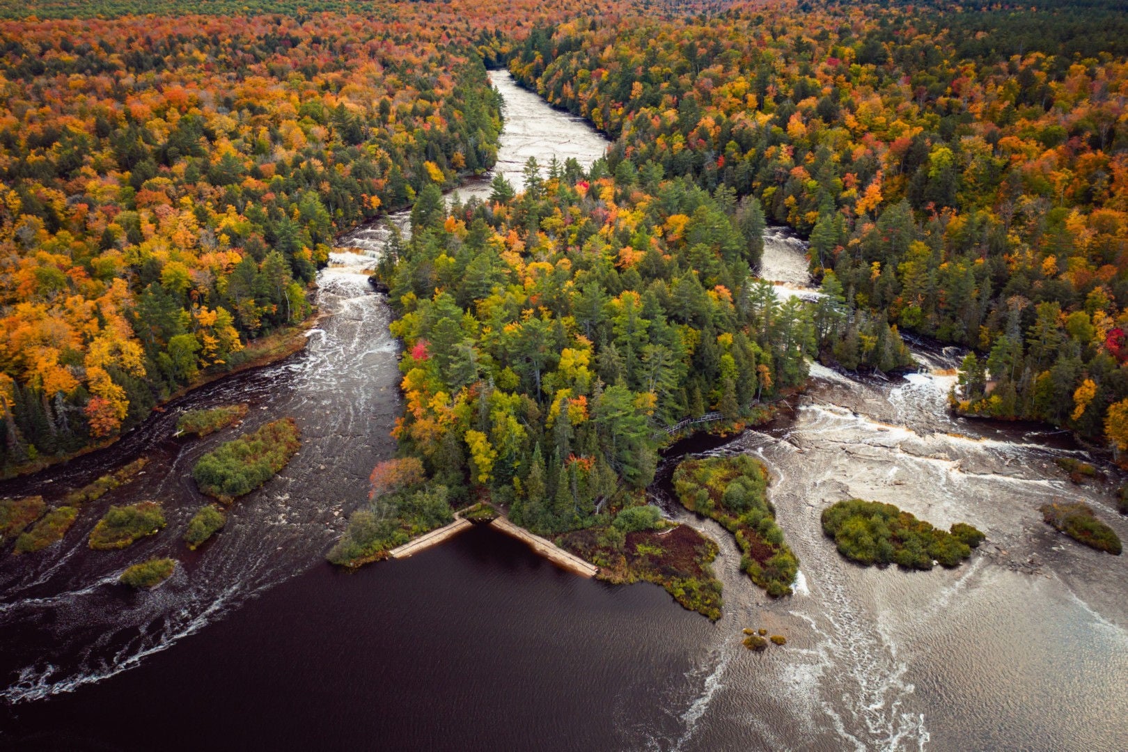 Aerial view of river flow with trees on both sides