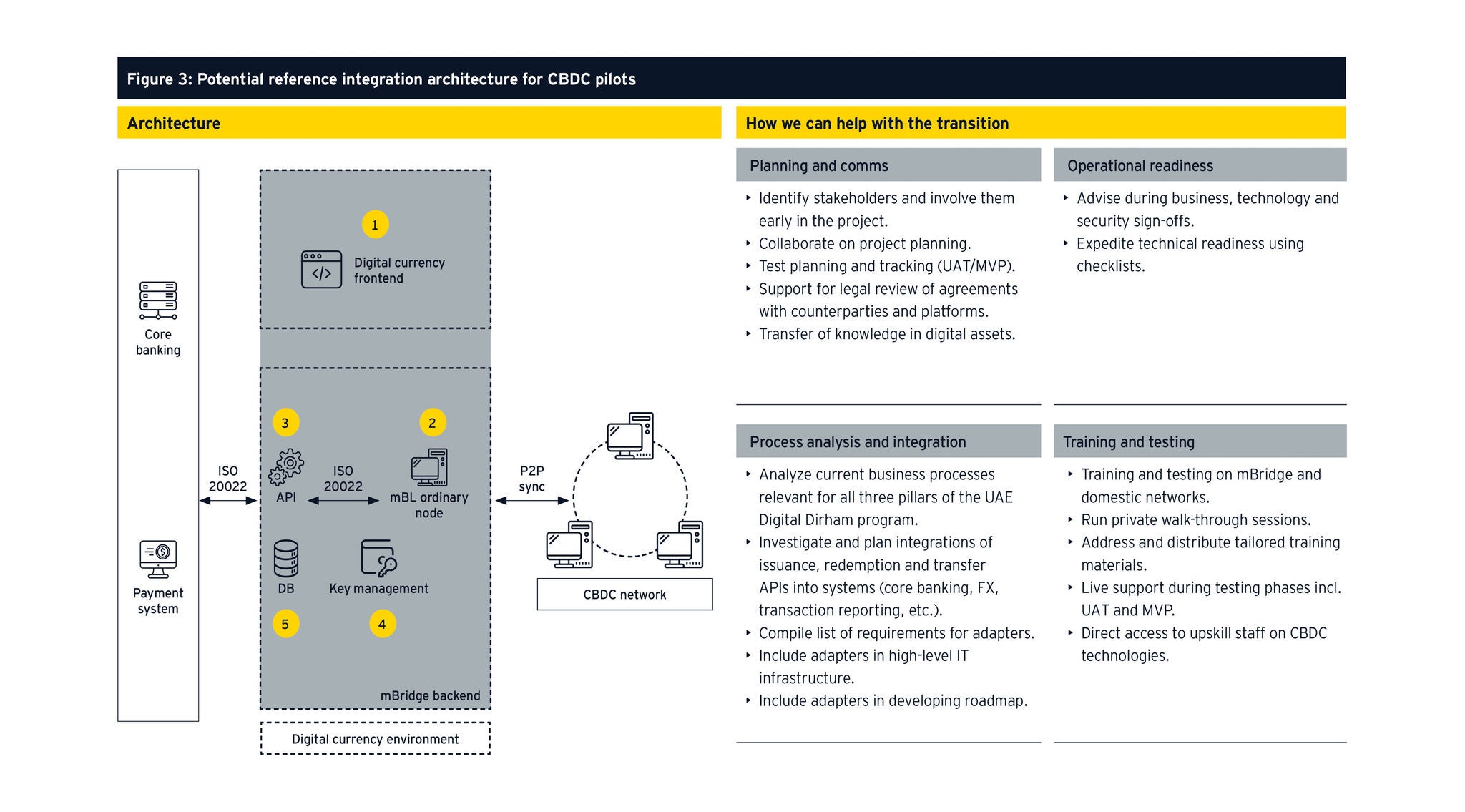 EY Digital Assets graphic