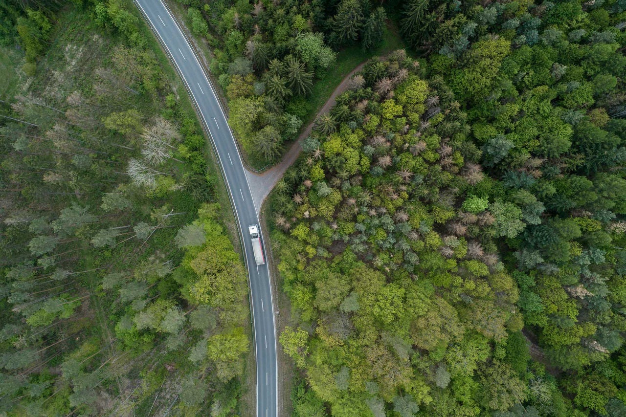 Auto fährt durch Wald