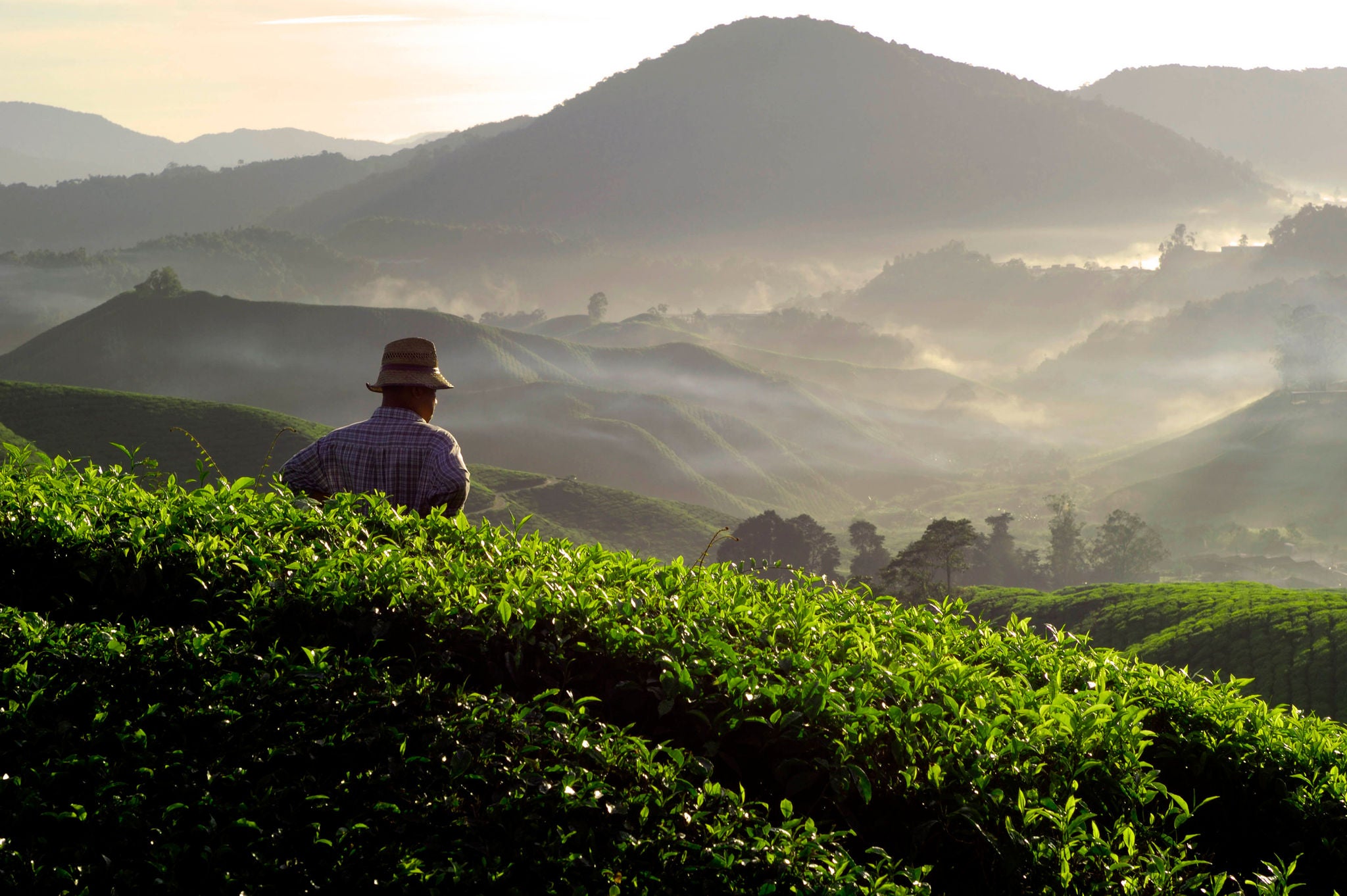 Man having a view of mountains