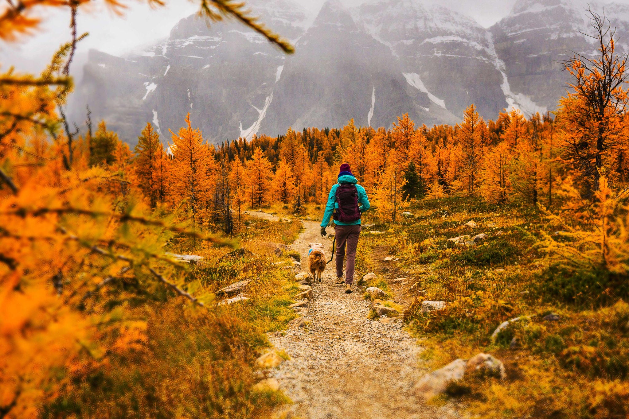 Ey woman walking on track with dog