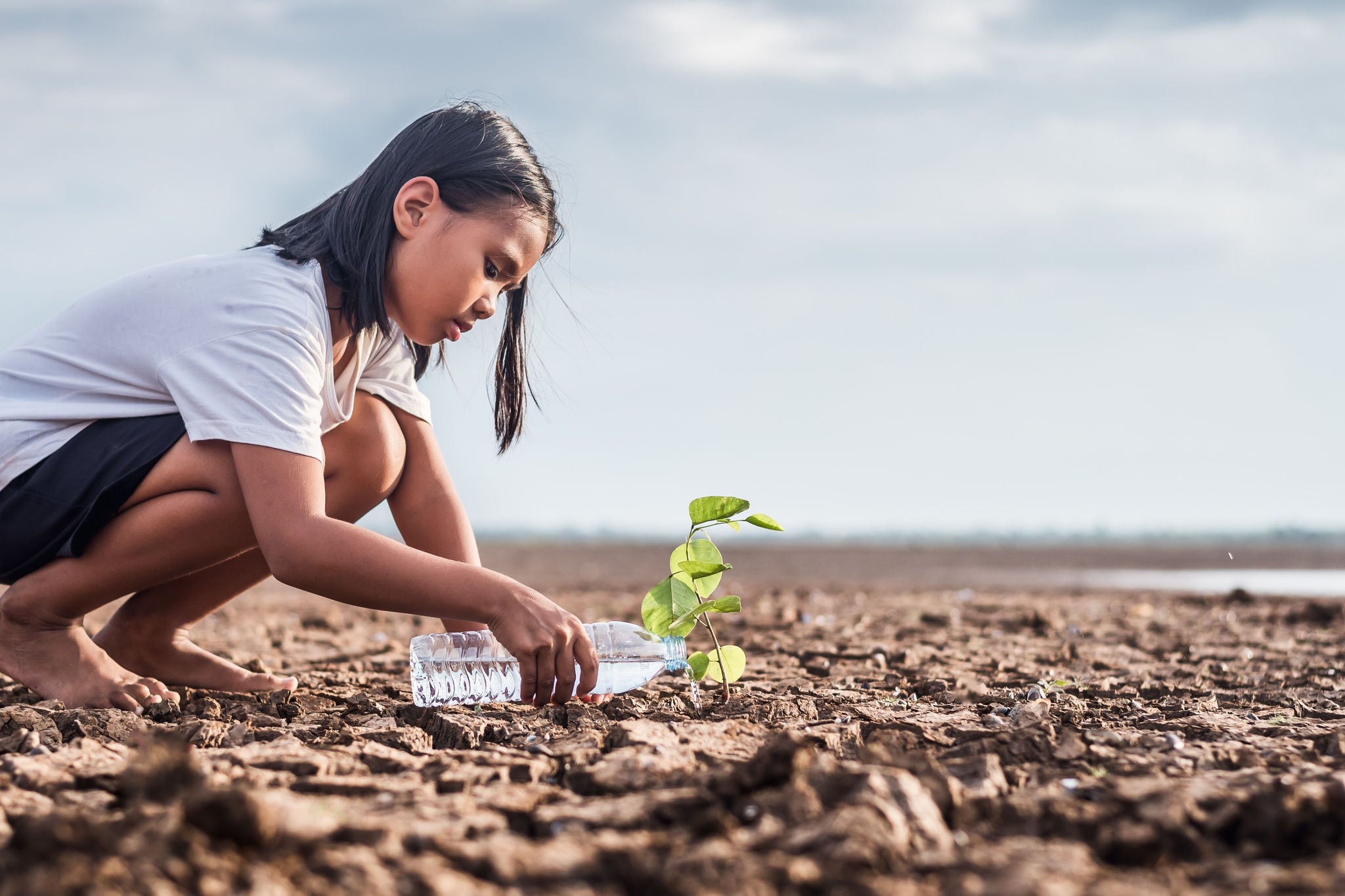 Asian girl watering green plant in dry land