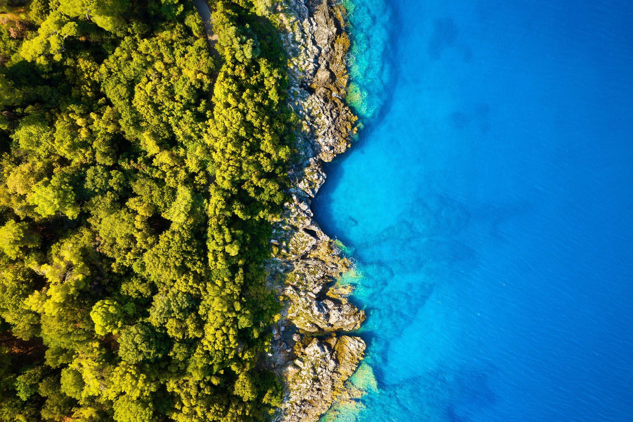 View from the air on the waves and rocks. Sea relaxation and travel. The forest near the sea. Azure water on the sea. A bright sunny day during a summer vacation. 