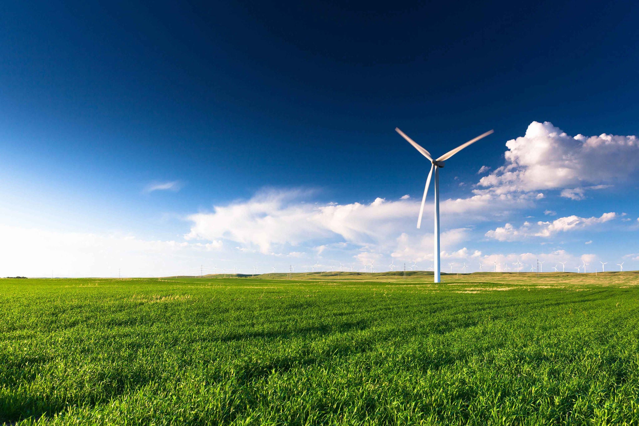 Eine Windkraftanlage auf einem Feld