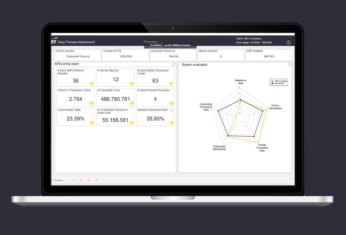 ey-easy-process-assessment-screenshot1