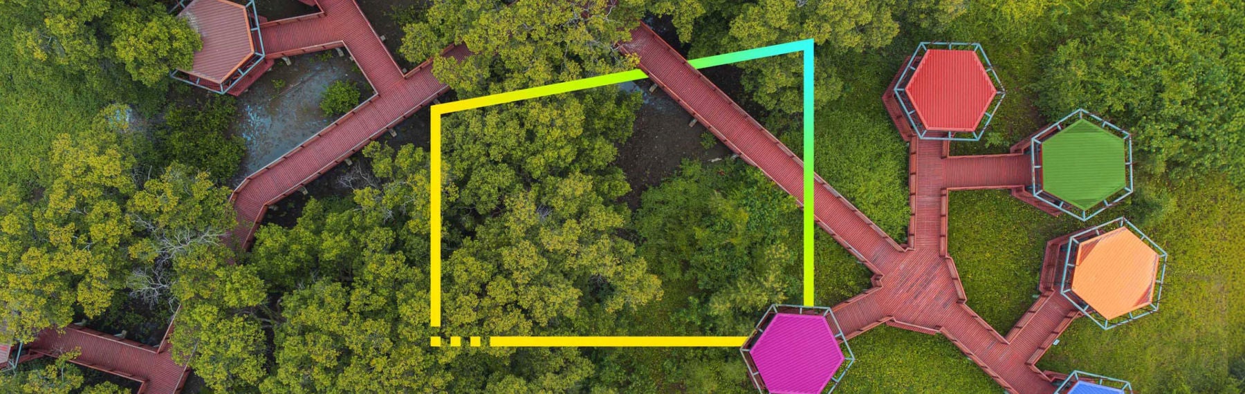 Aerial view of red wooden bridge walkway in a mangrove forest static