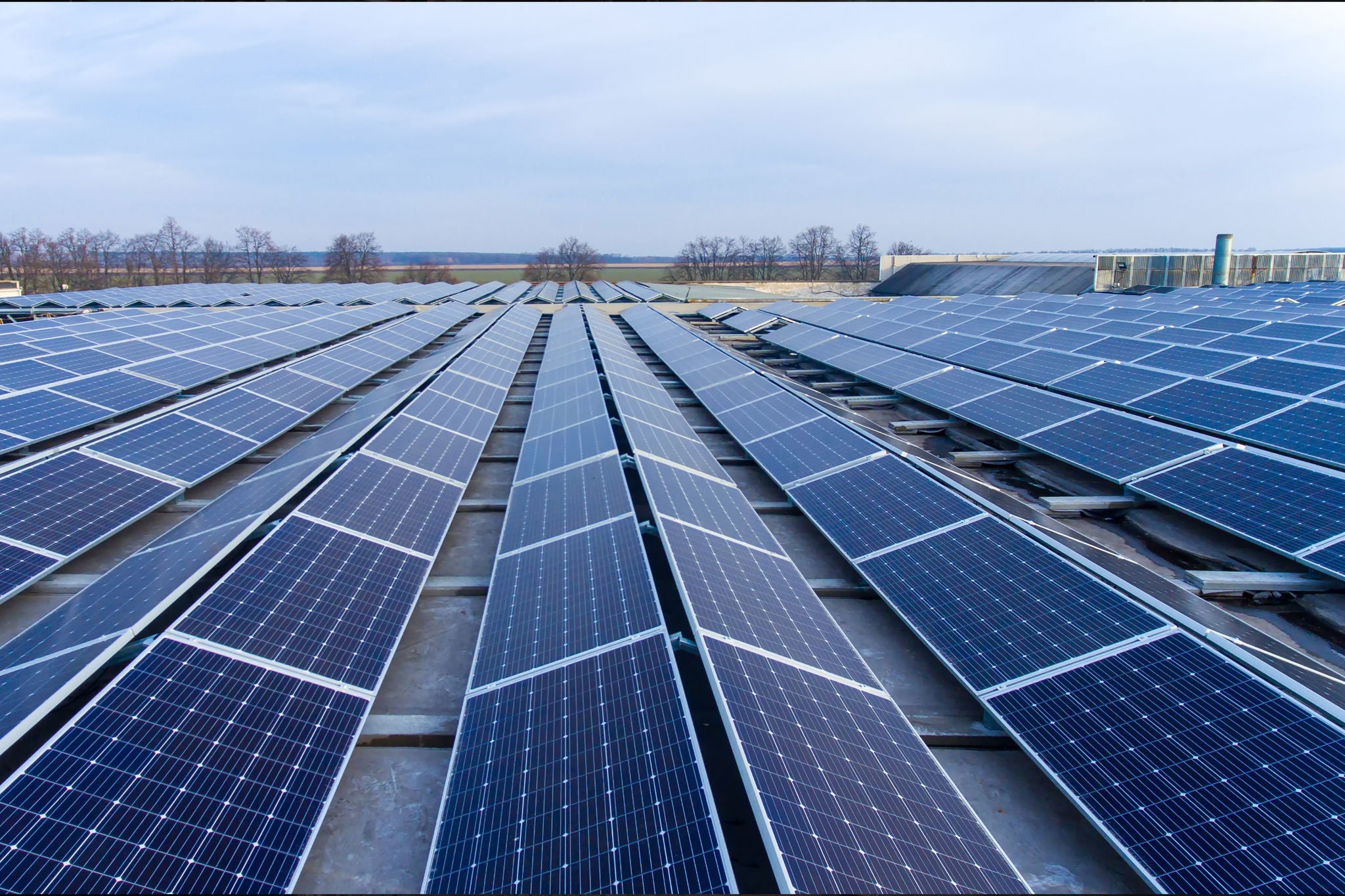 All Solar Pannels placed in a Field