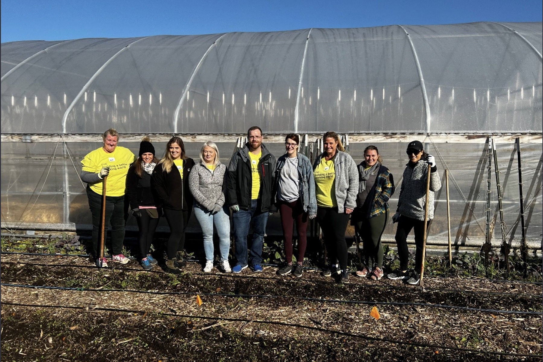 Group of EY employees volunteering at a farm
