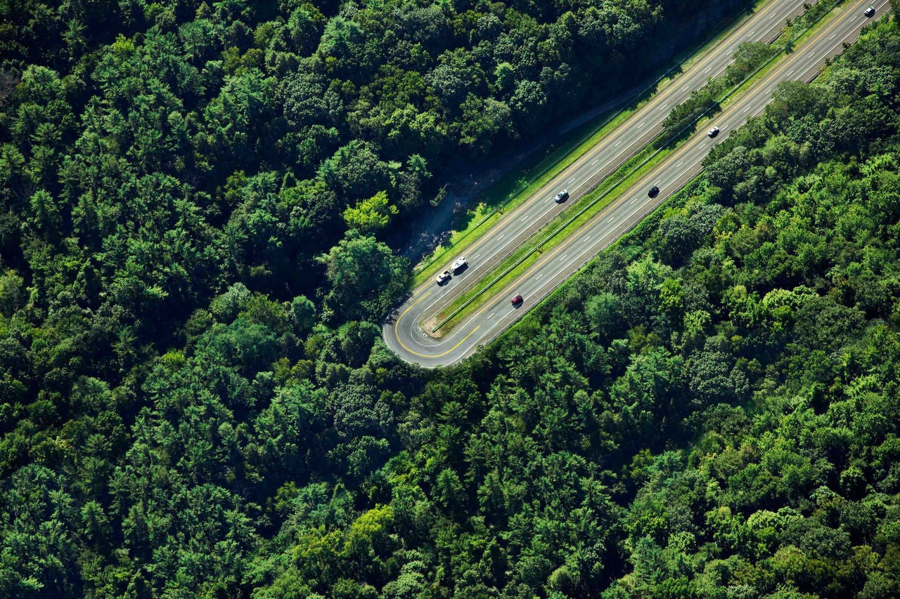 森の中の高速道路のUターン箇所