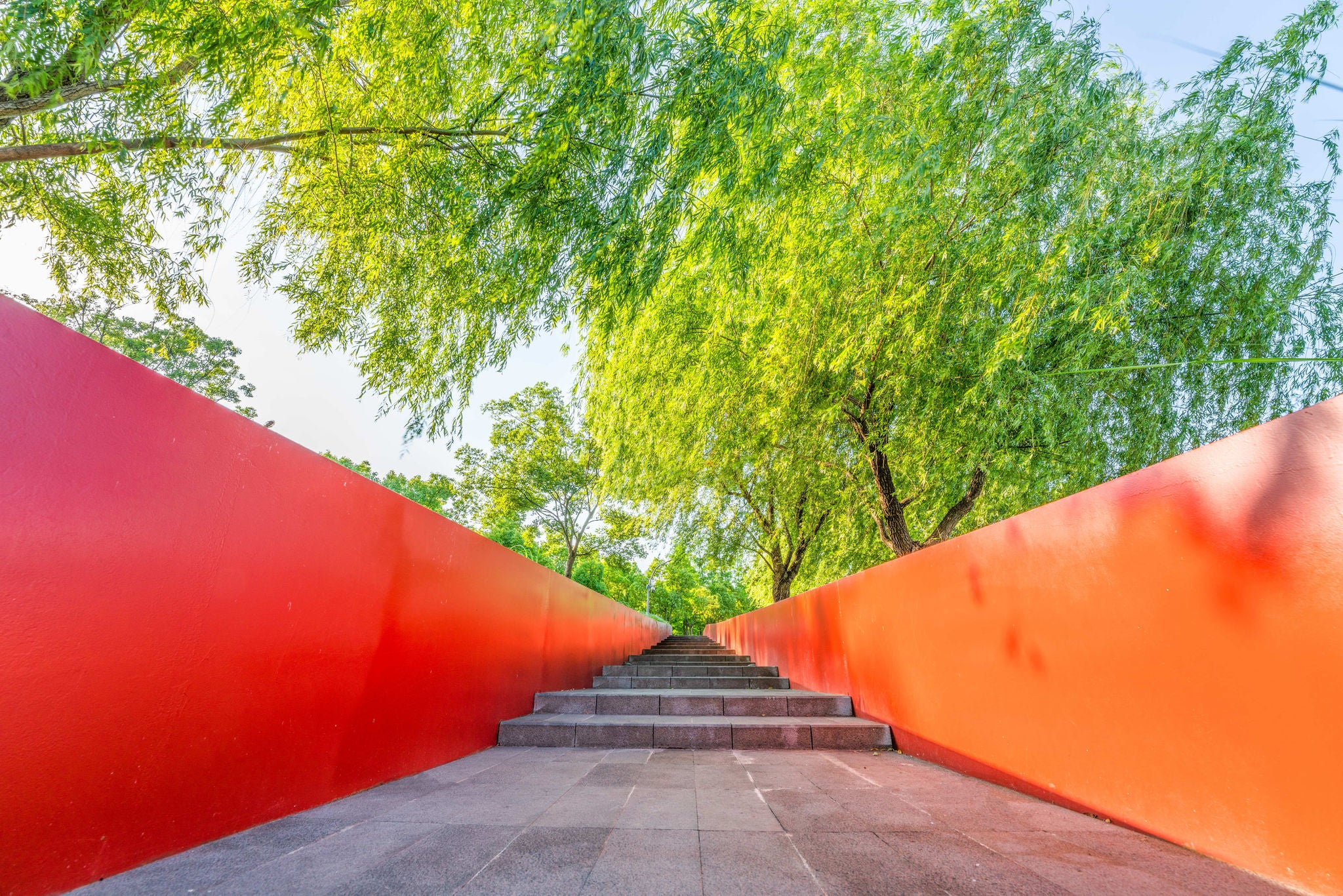 red corridor green trees