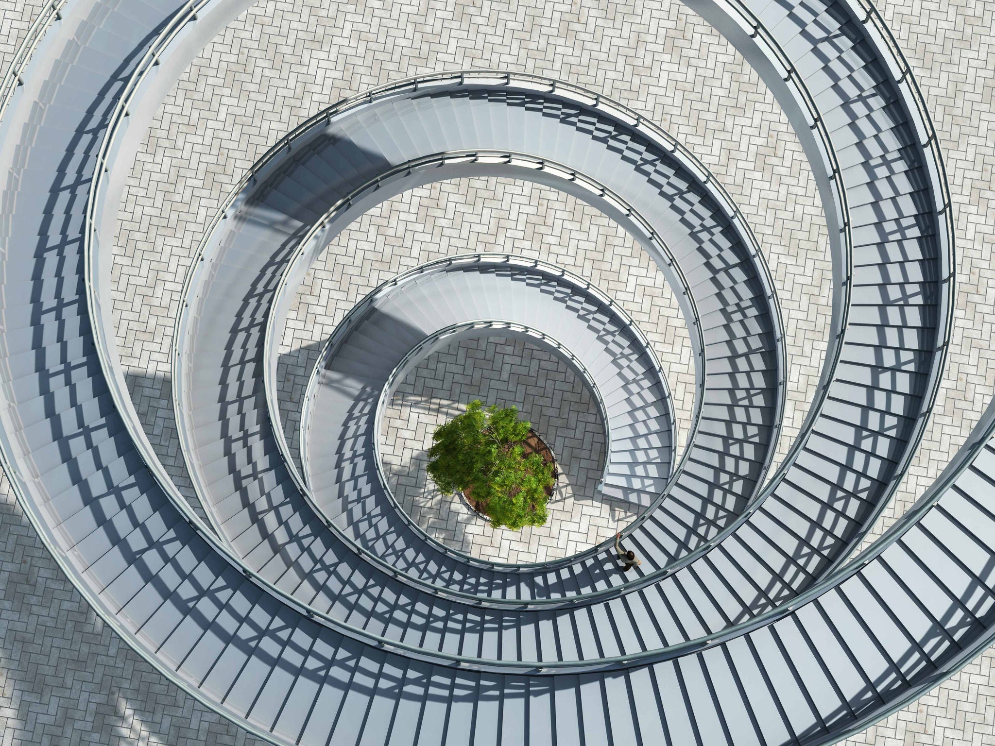 Aerial view of a spiral staircase with a tree in the middle