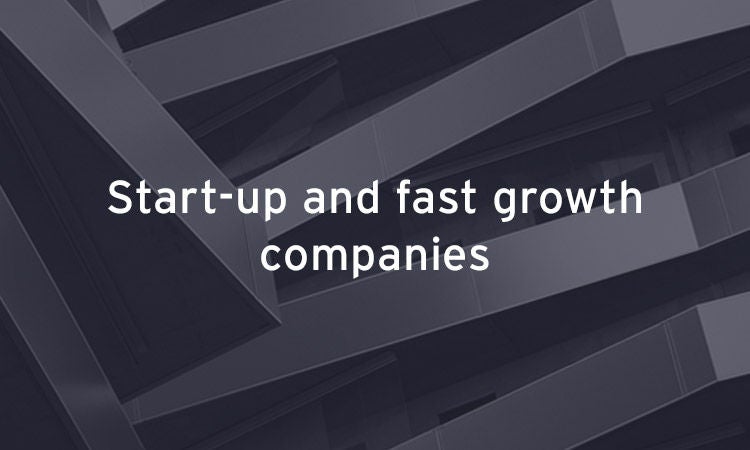 startup and fastgrowth companies