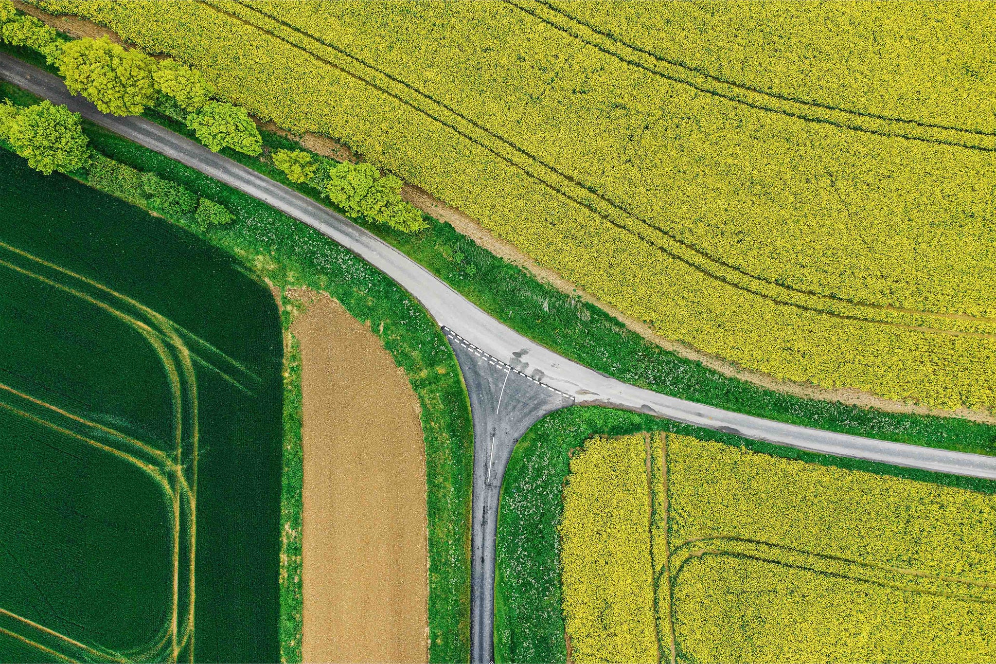 Road junction through agricultural fields