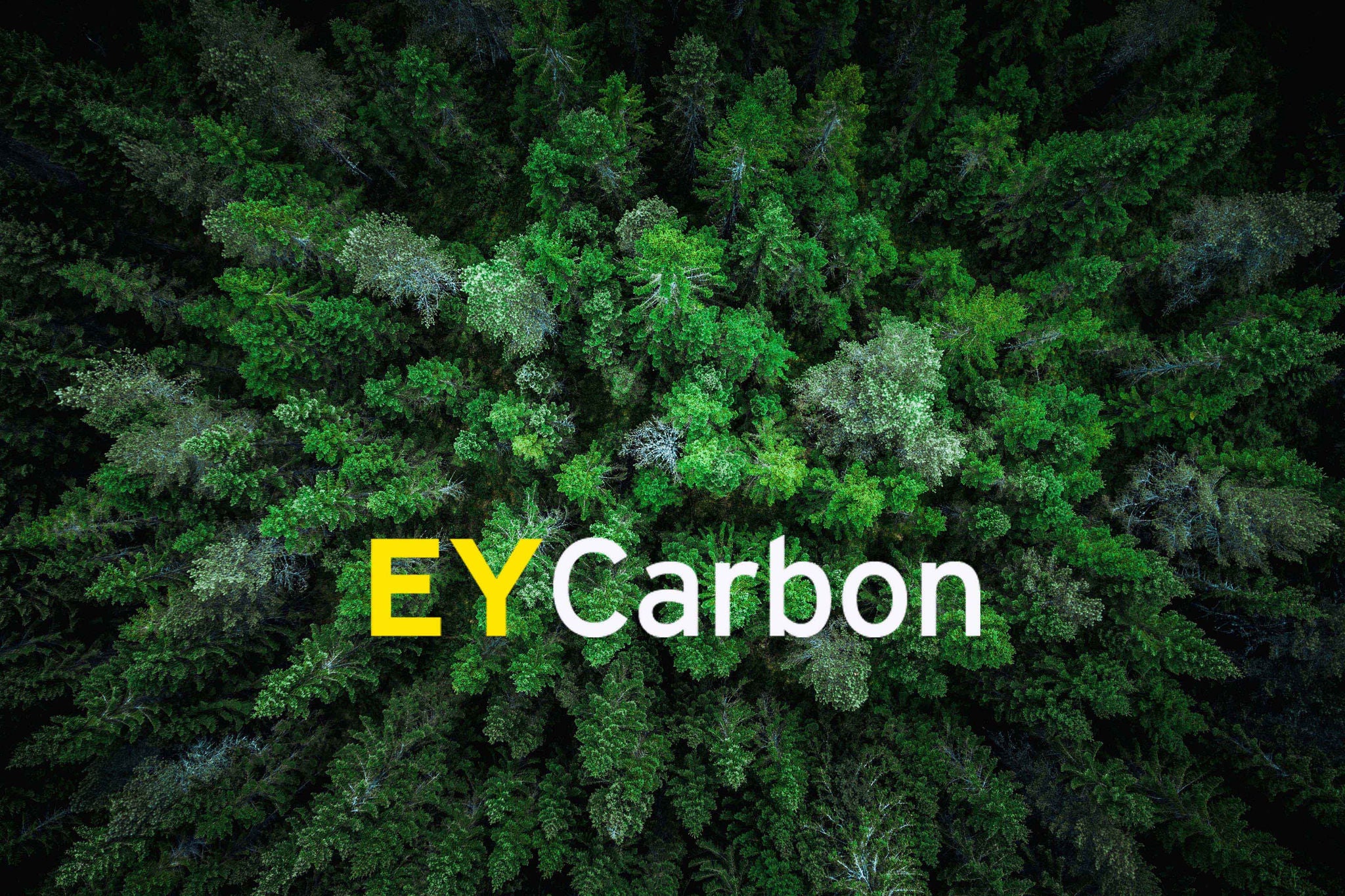 EU ETS: Wie Stark Steigen Die CO₂-Preise Bis 2030? | EY - Deutschland