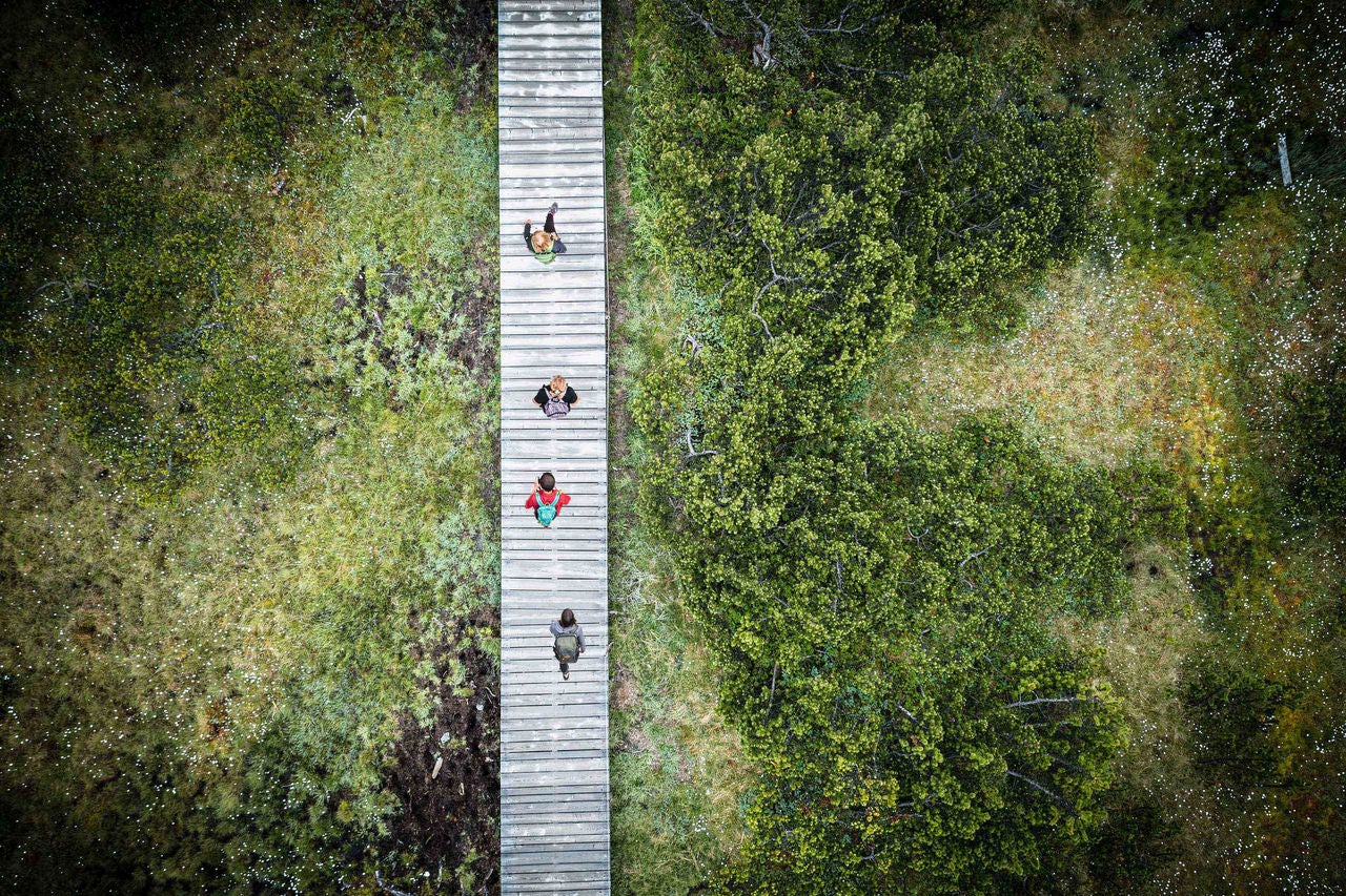 Aerial drone view of people hiking in the Biotopo Monte Covolo-Nemes protected nature park in summer, Sesto, South Tyrol, Italy