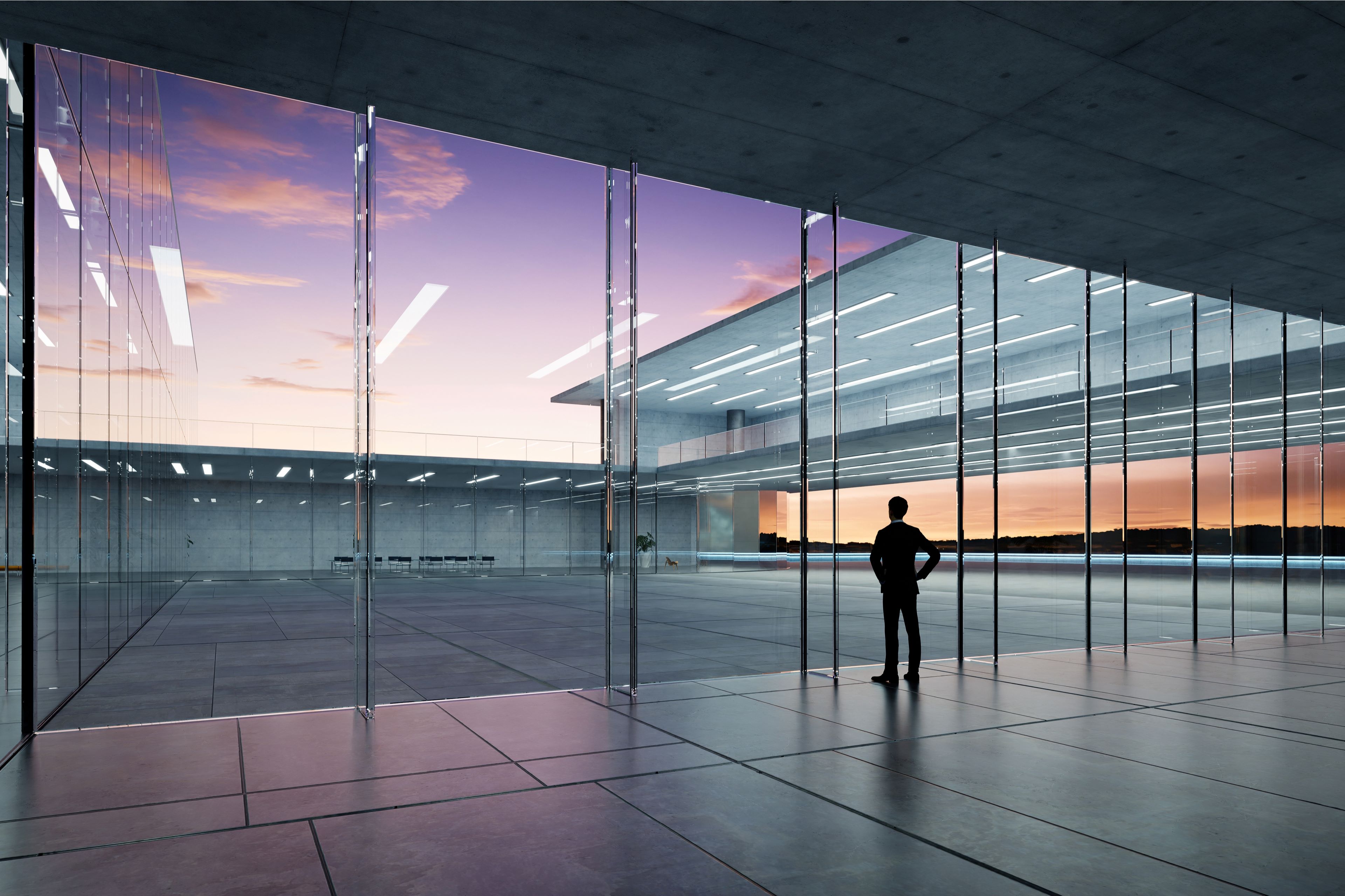 Rear view of a businessman looking out 