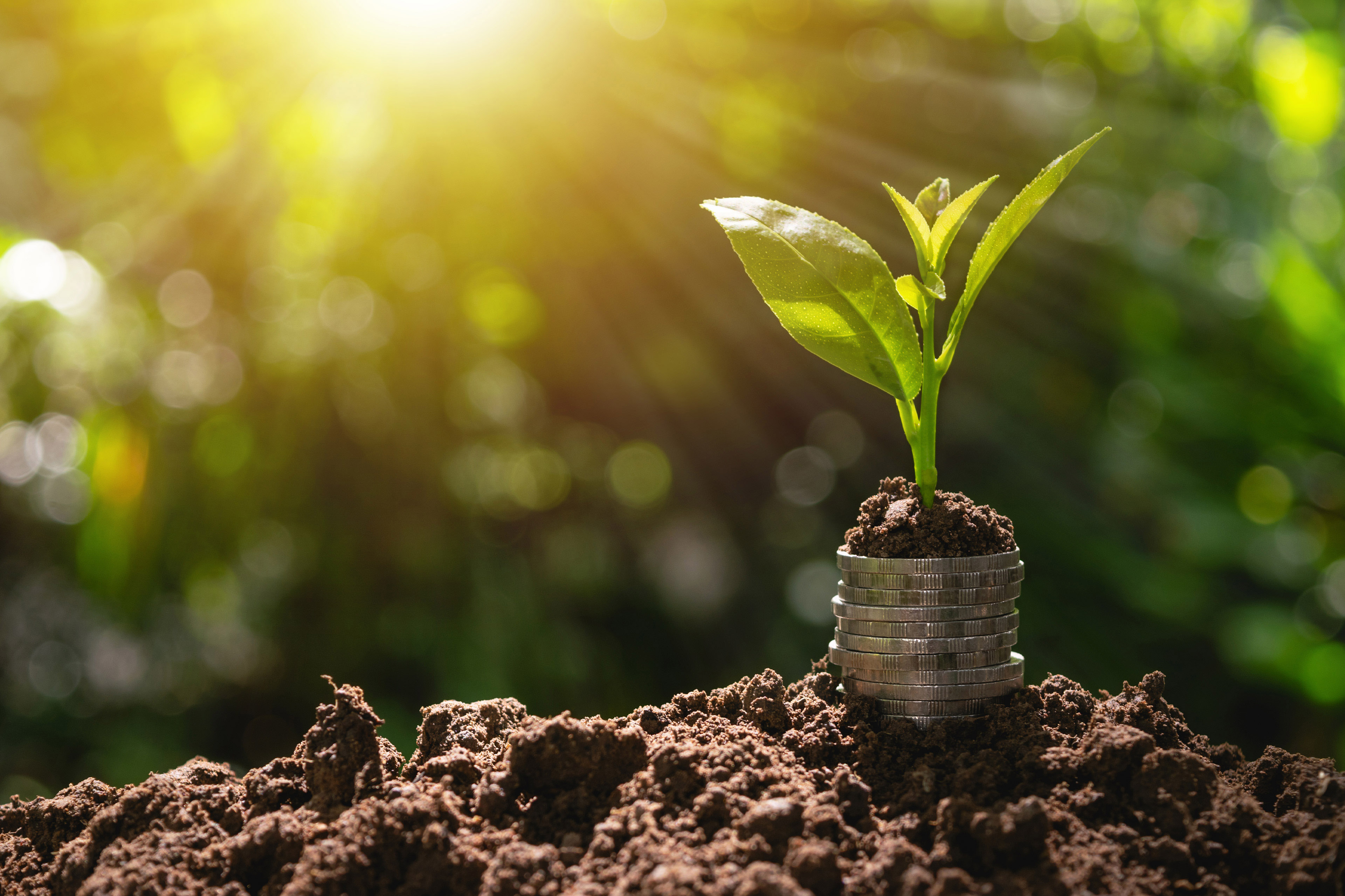 Münzen mit Investitionen an der Spitze auf dem Boden in der grünen Natur Hintergrund für Wachstum Business-Konzept se