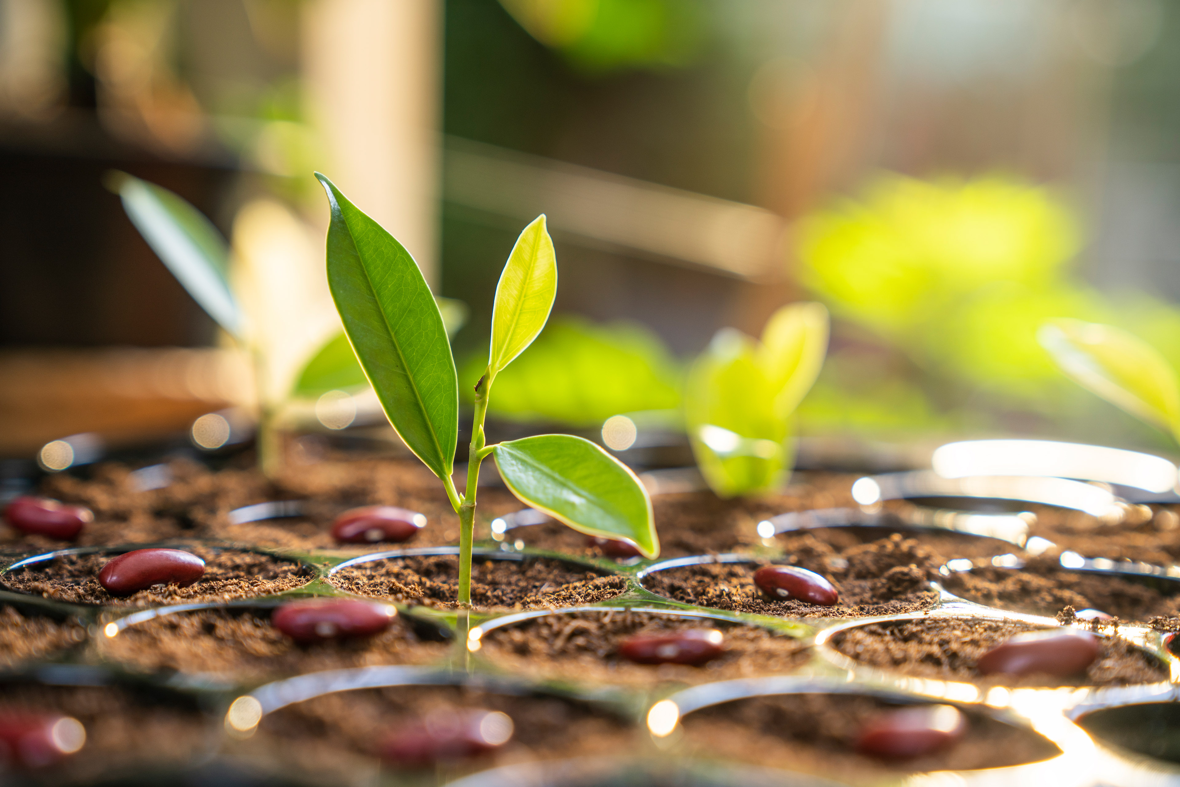 Wie Verkäufer mit einer ESG-Organisation punkten