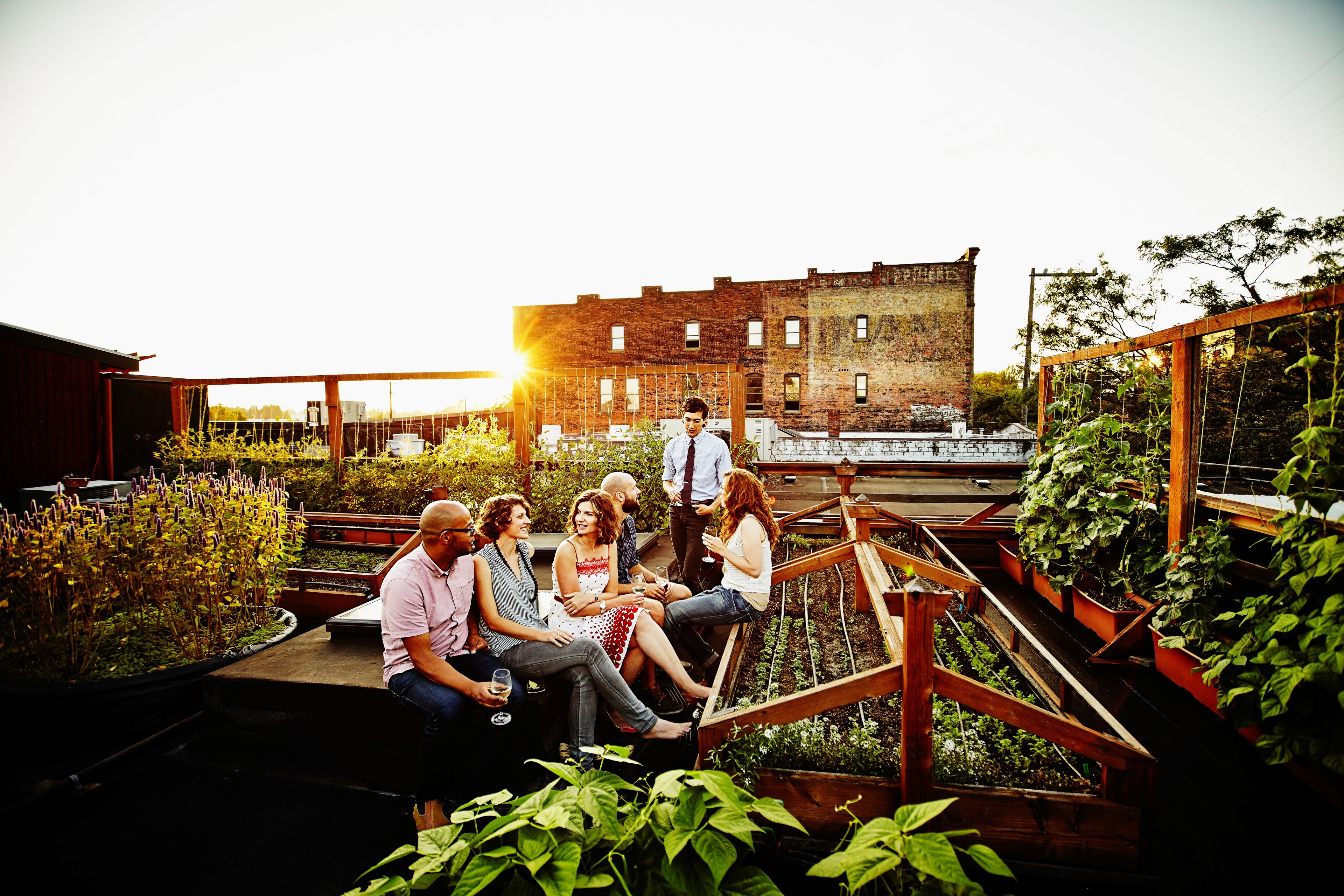 Eine Gruppe von Freunden auf einem Rooftop Garten