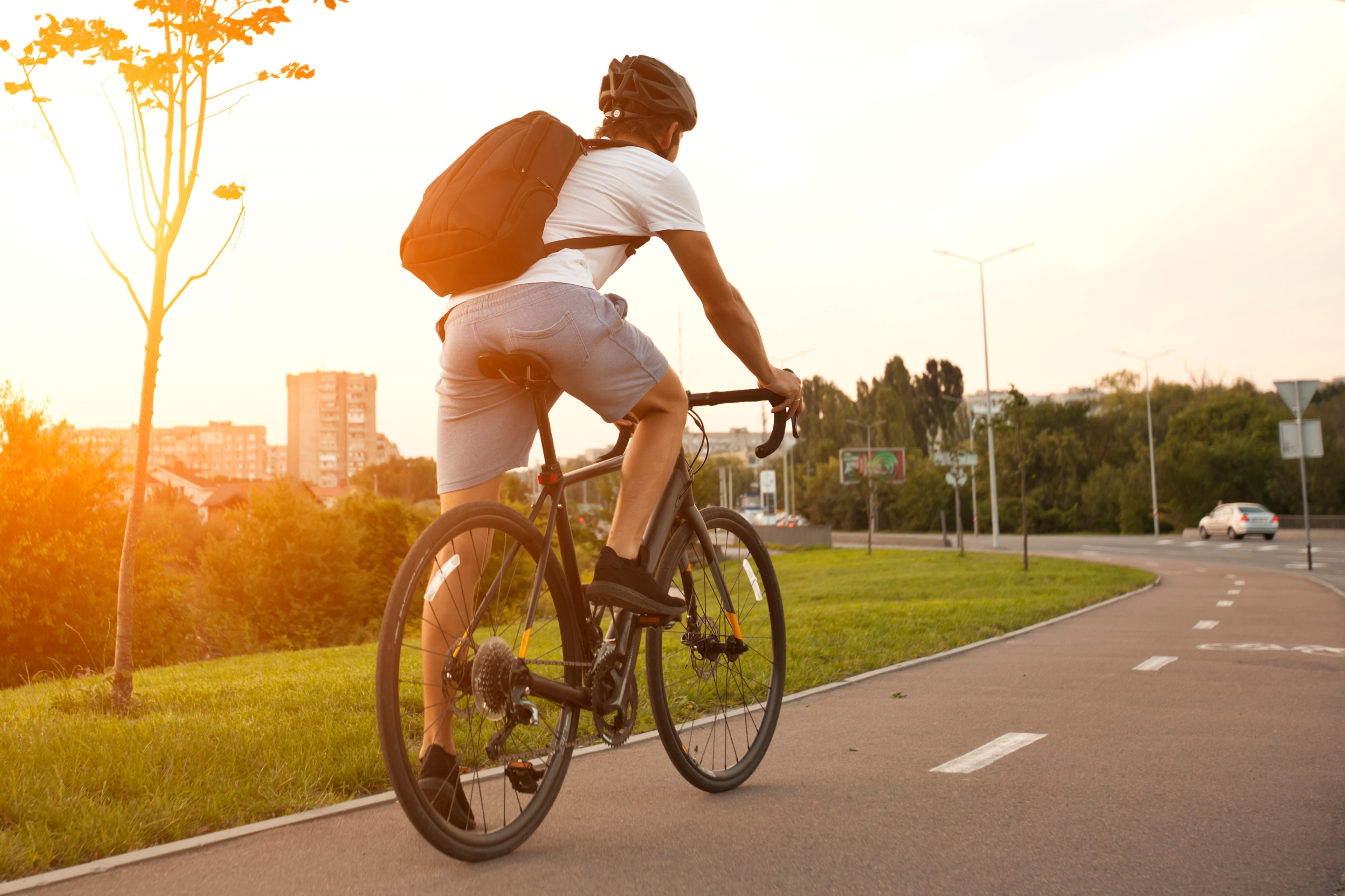 EY Fahrradstudie 2024