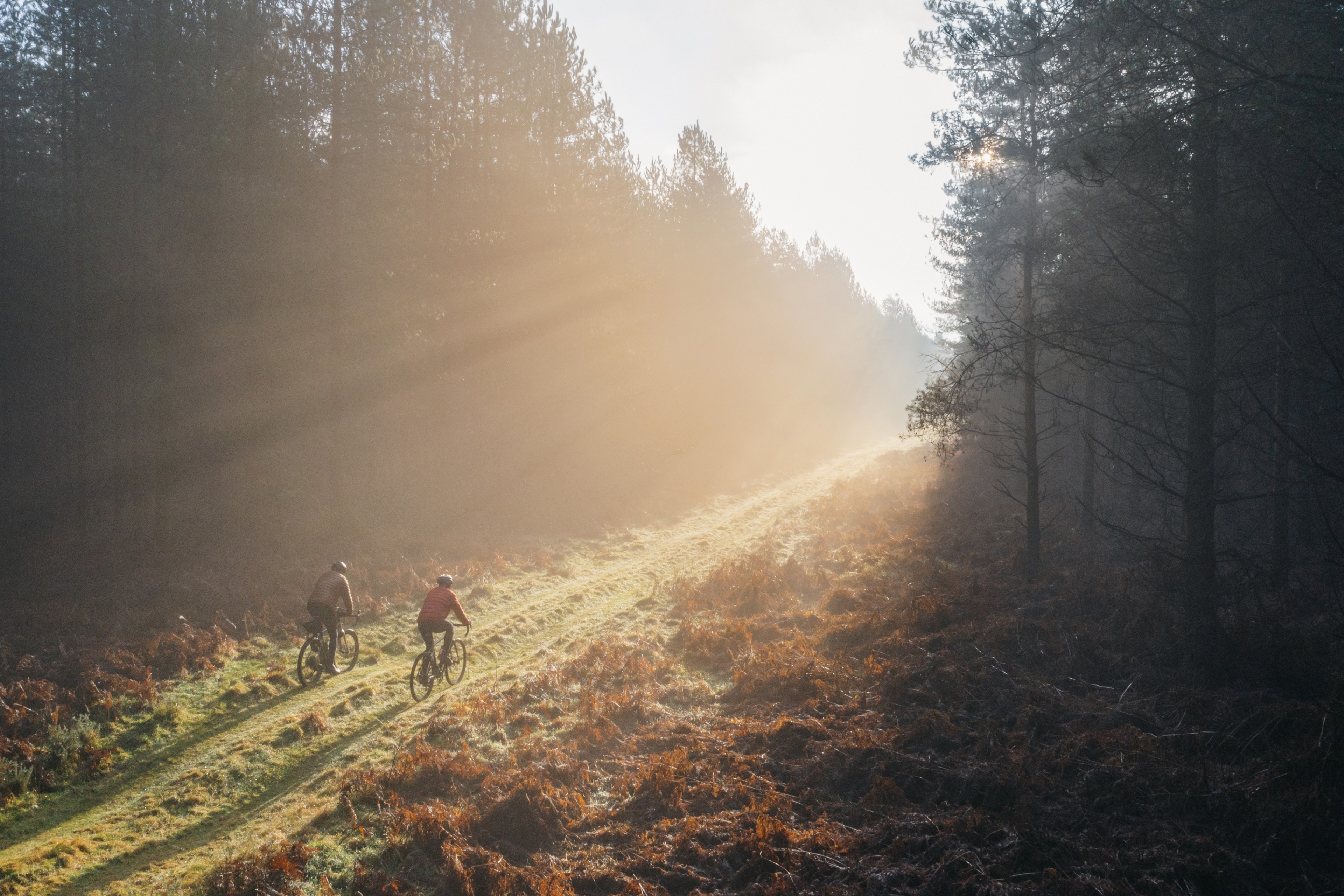 Two men cycling through the forest as the morning sun lights up the trai