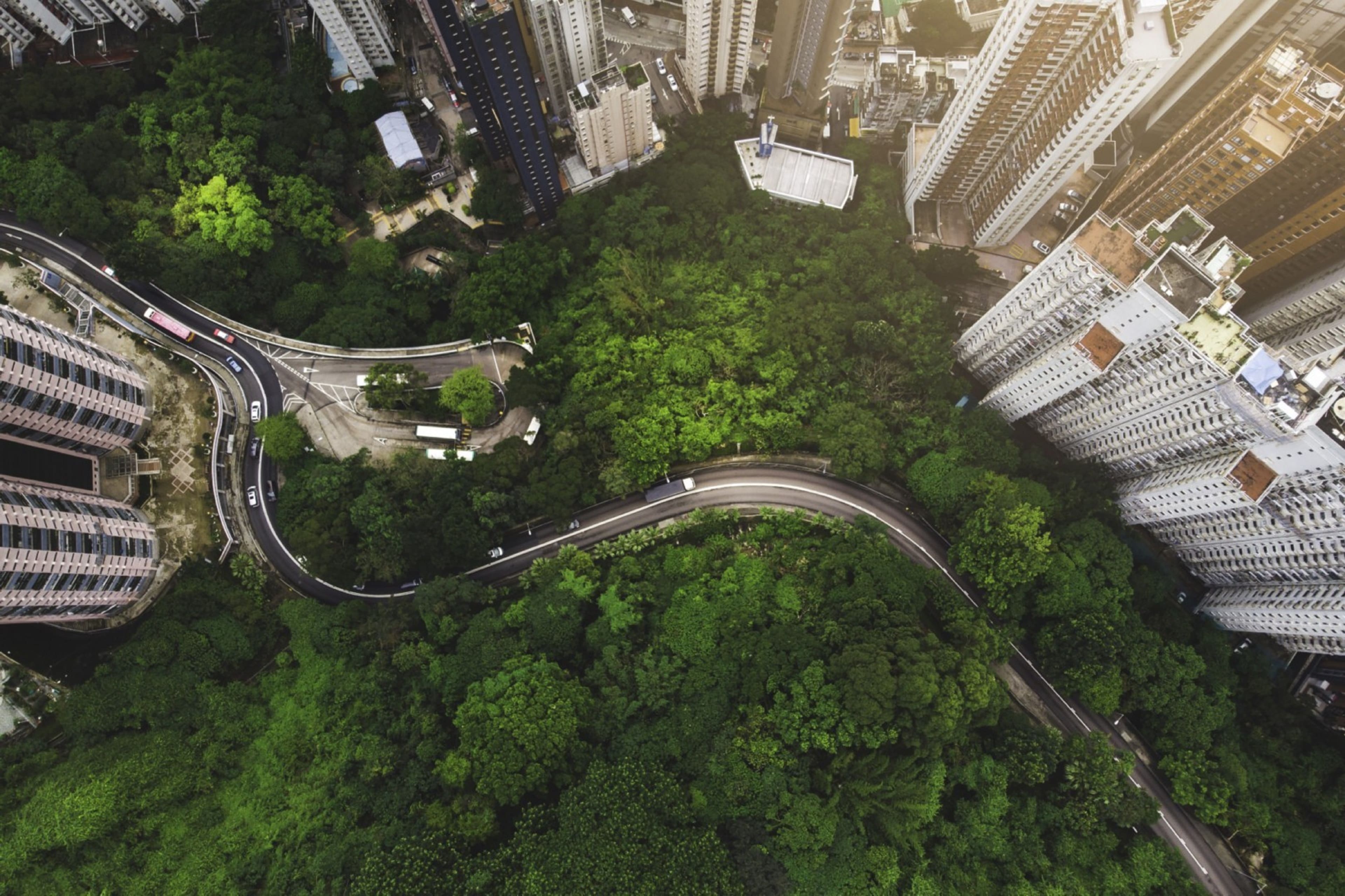 Road inside towers