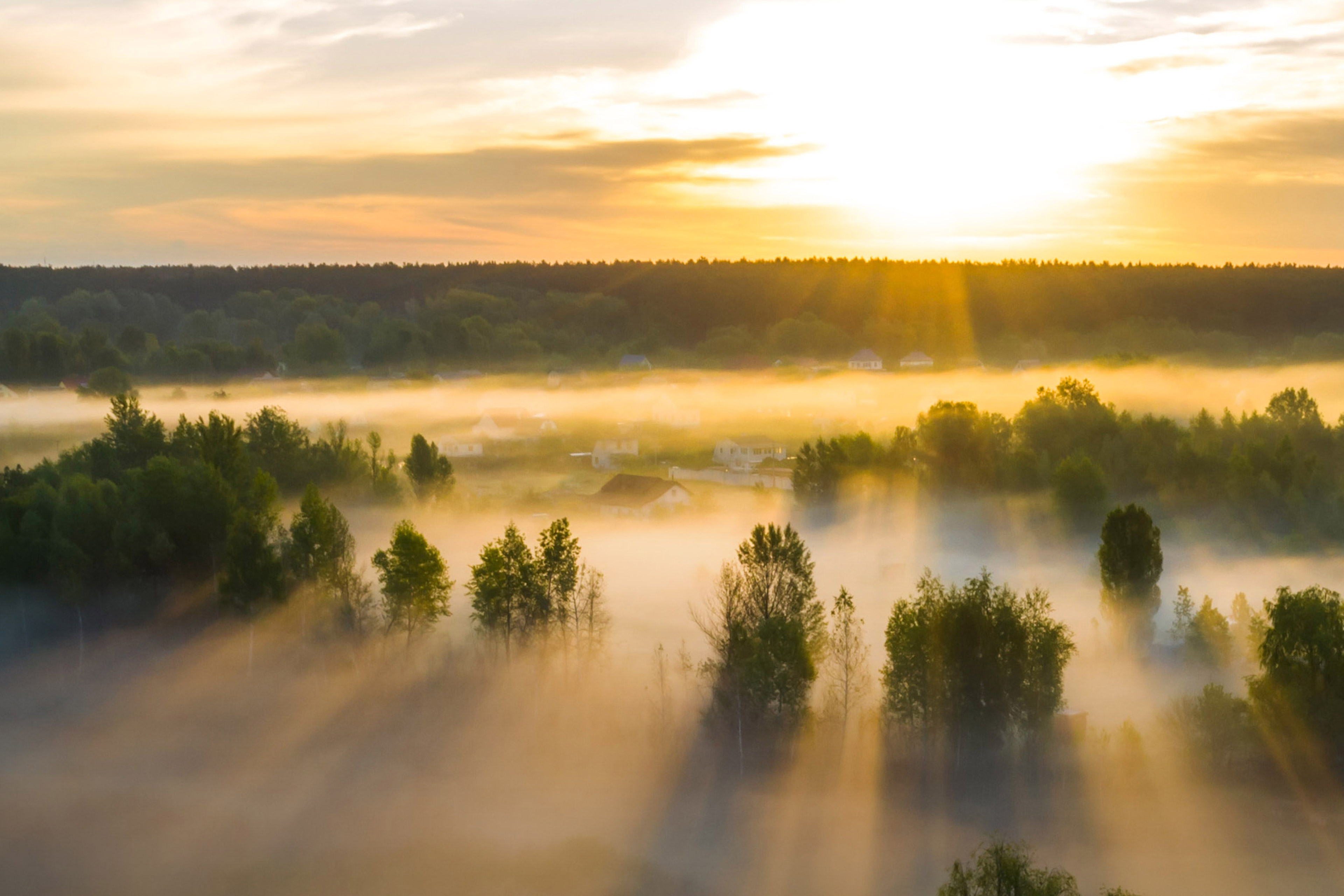 Aerial view of misty dawn in the spring