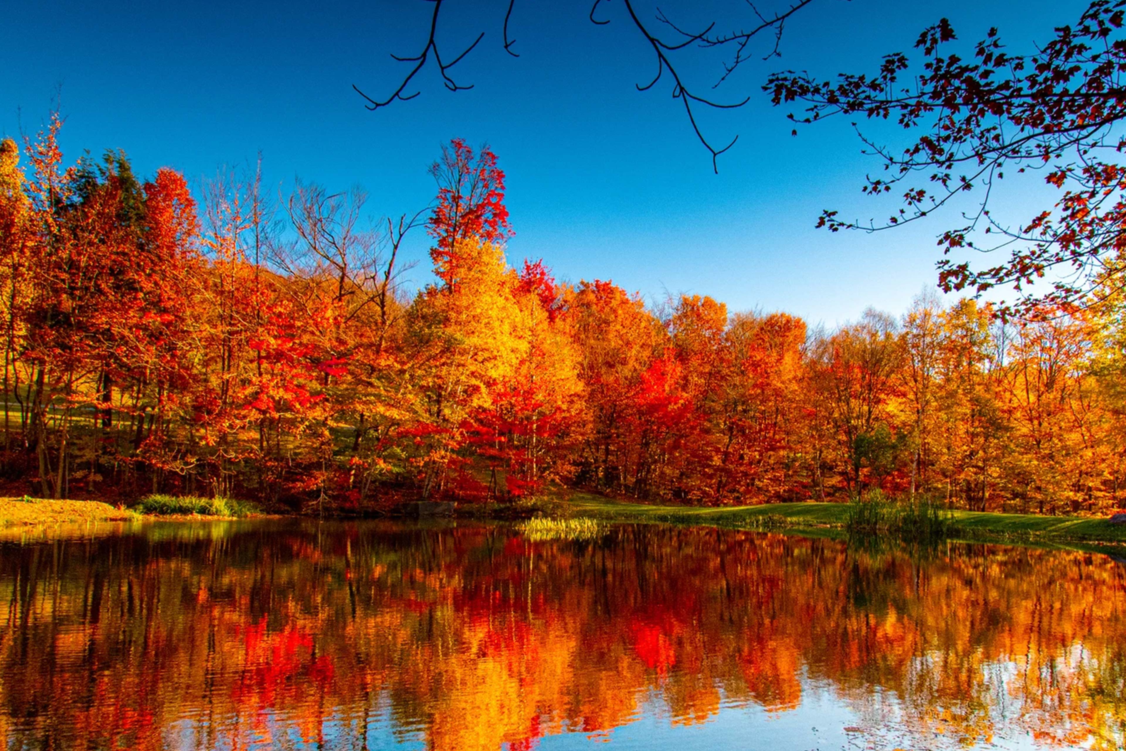 Fall Foliage reflecting on lake