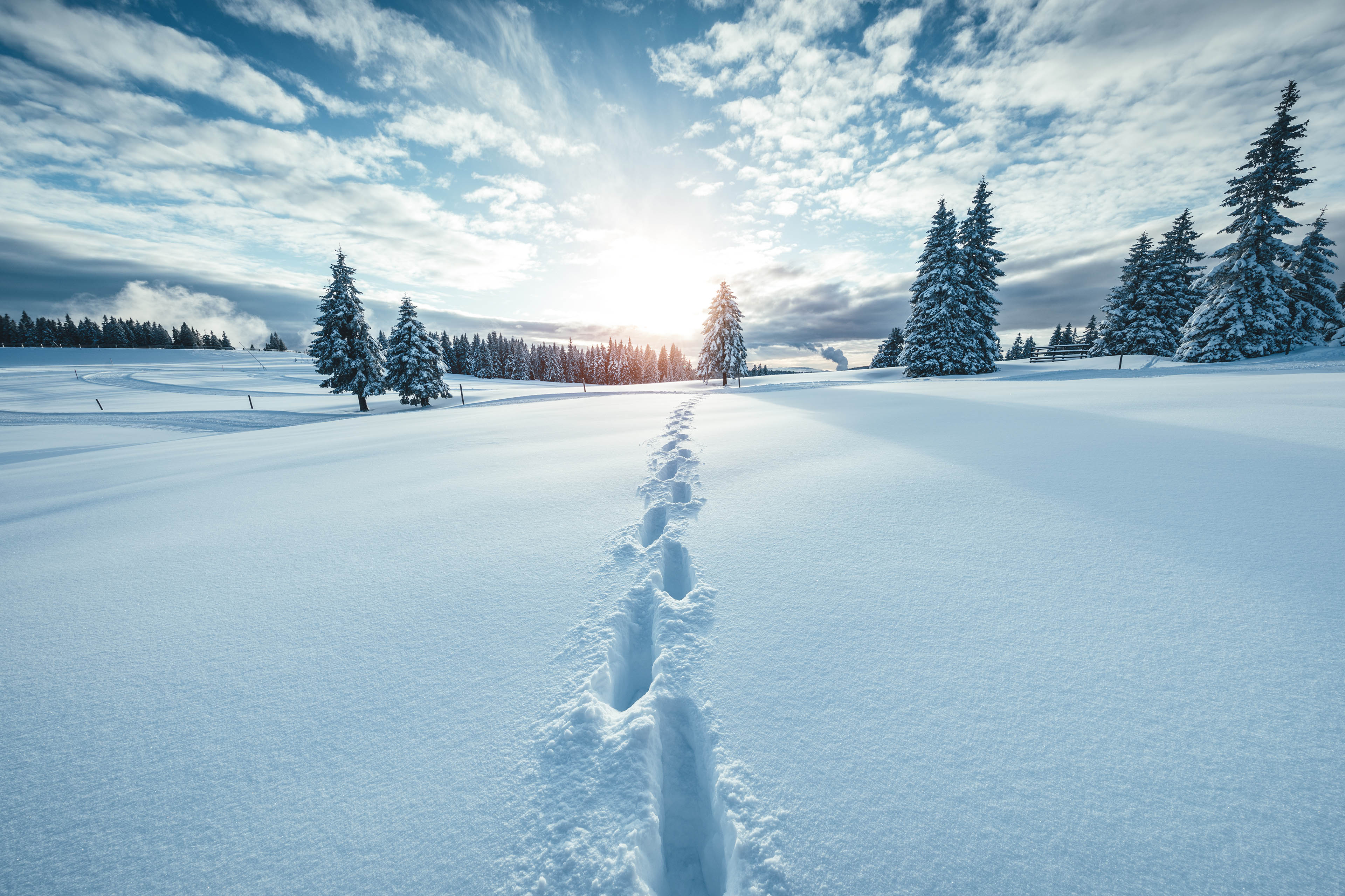 Footsteps in snowy winter landscape