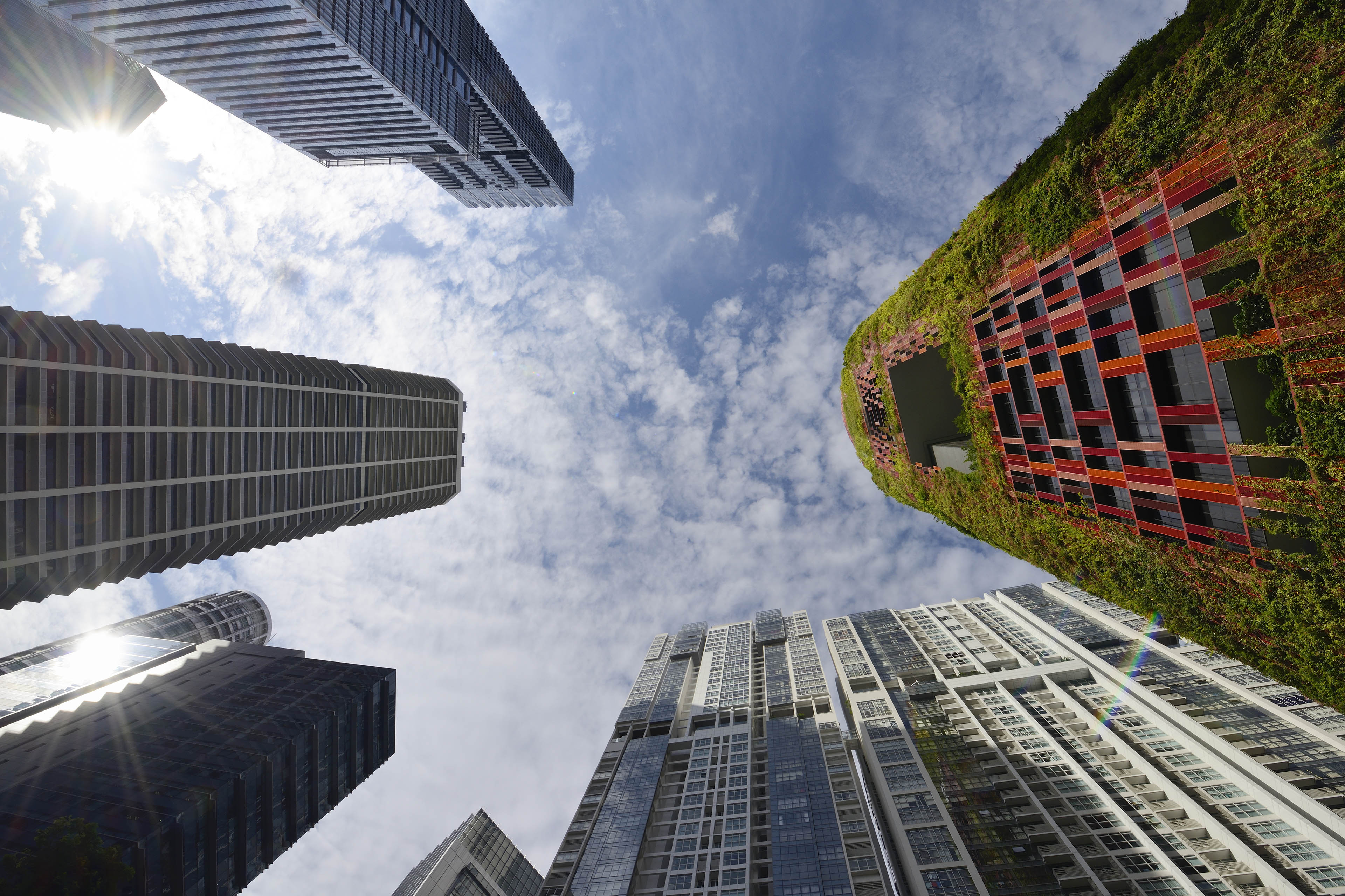 Looking up at office towers