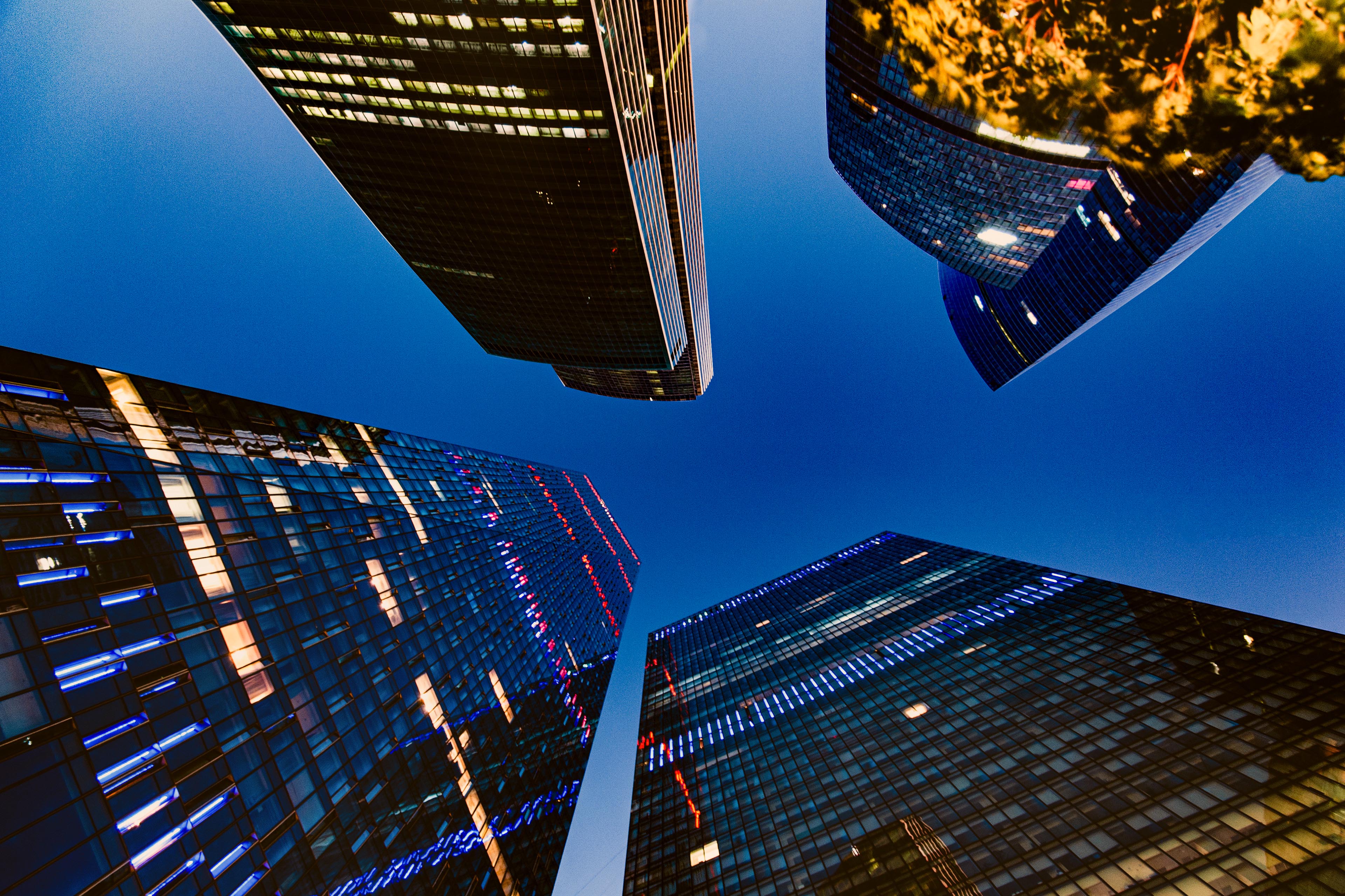 Looking up at skyscrapers against dark blue sky at night