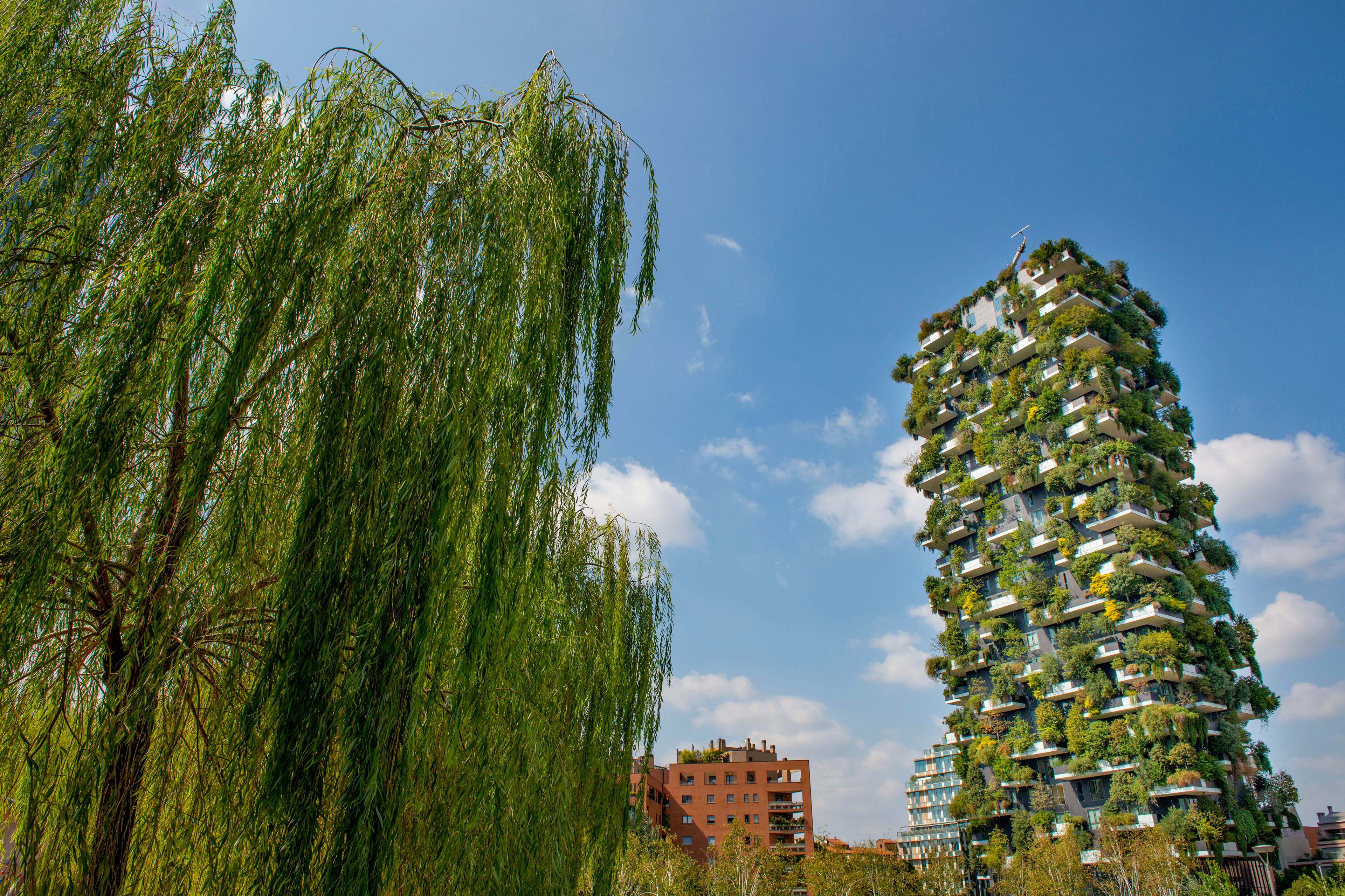 Houses with gardens on the terrace in Milan