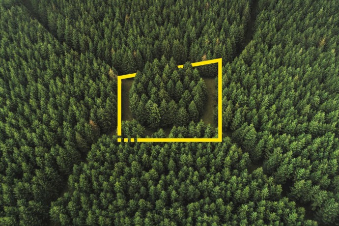 Aerial perspective of an unusual forest area