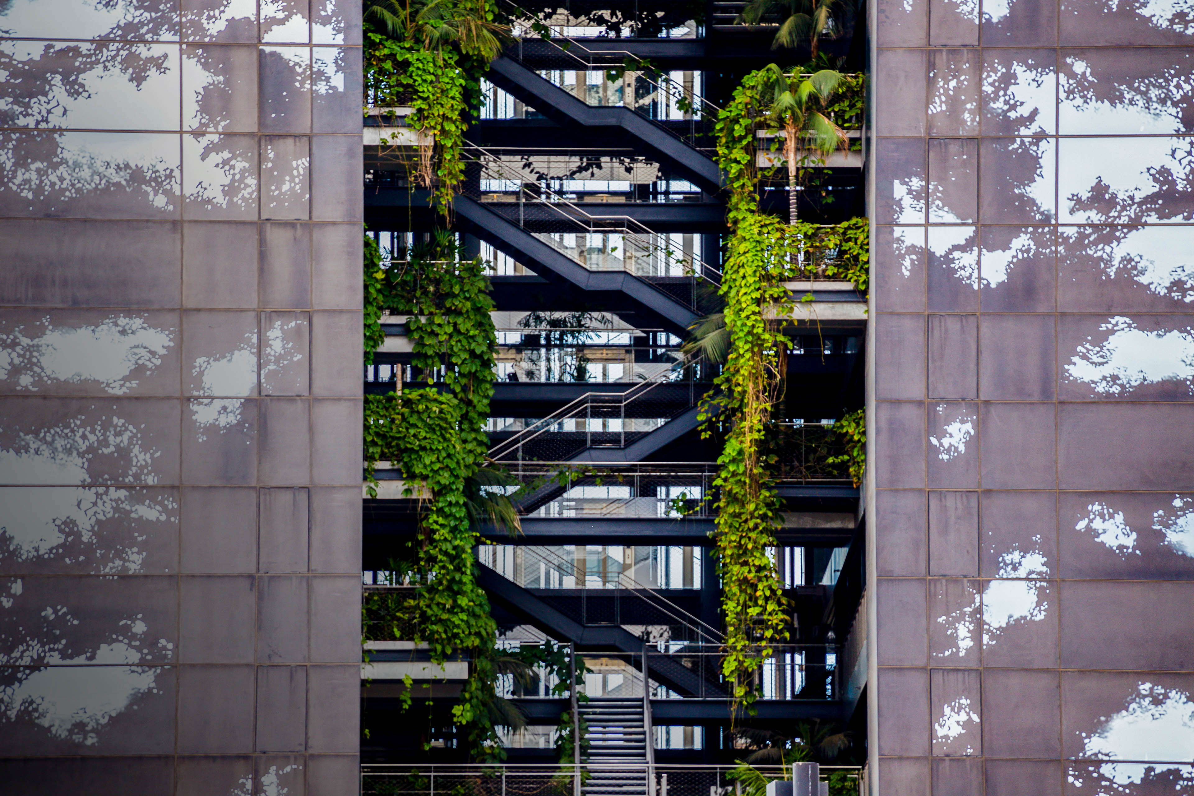 Building with levels and vegetation growing inside