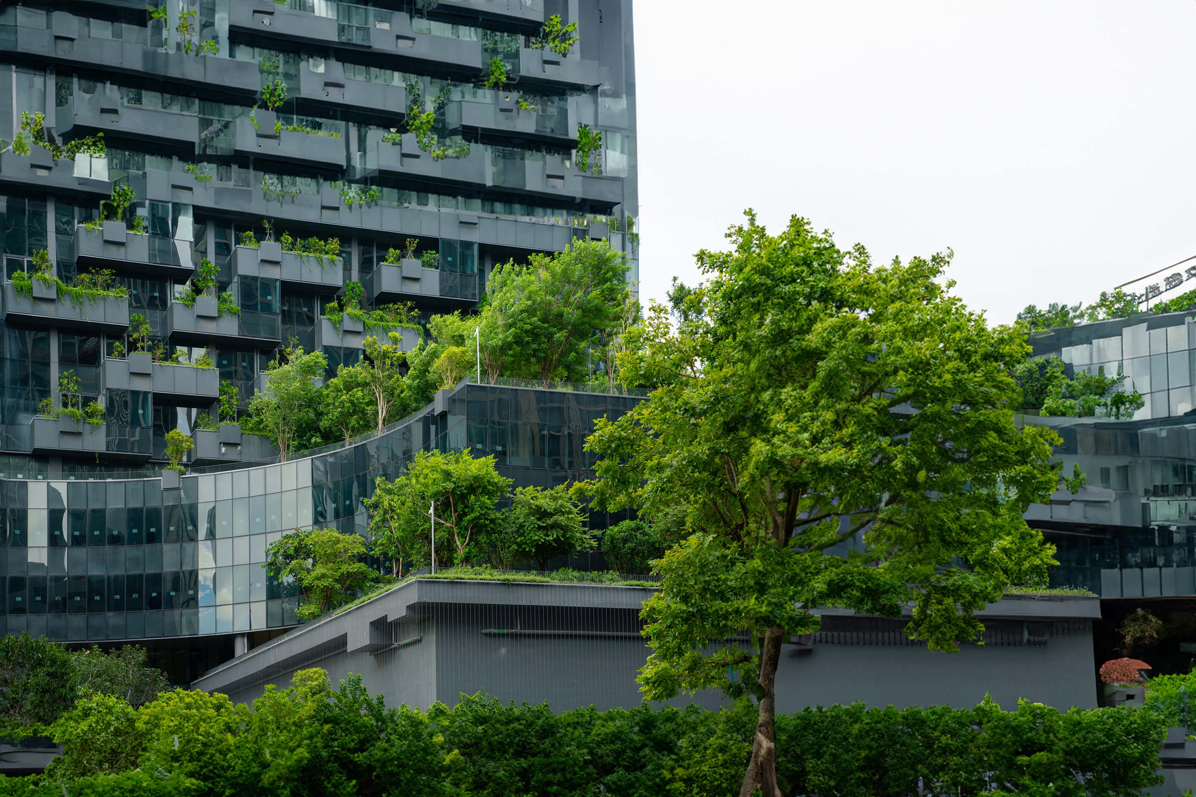 Detail from a living wall