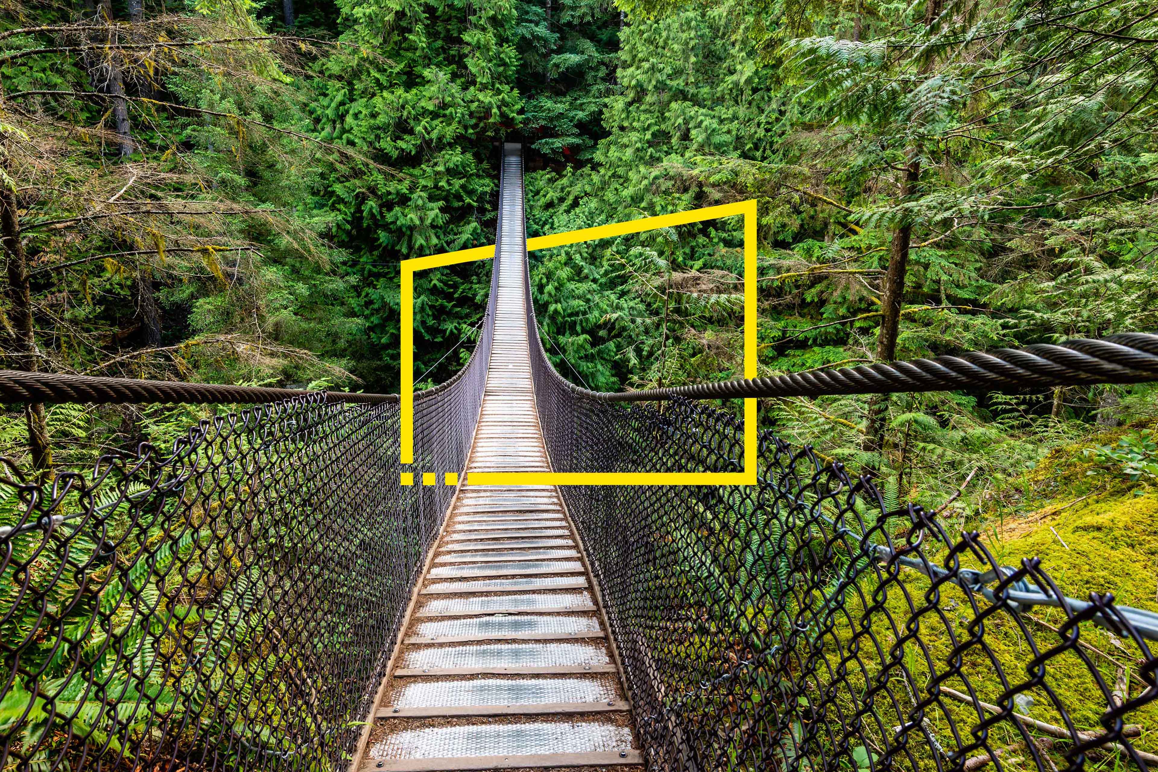 Lynn Canyon Suspension Bridge