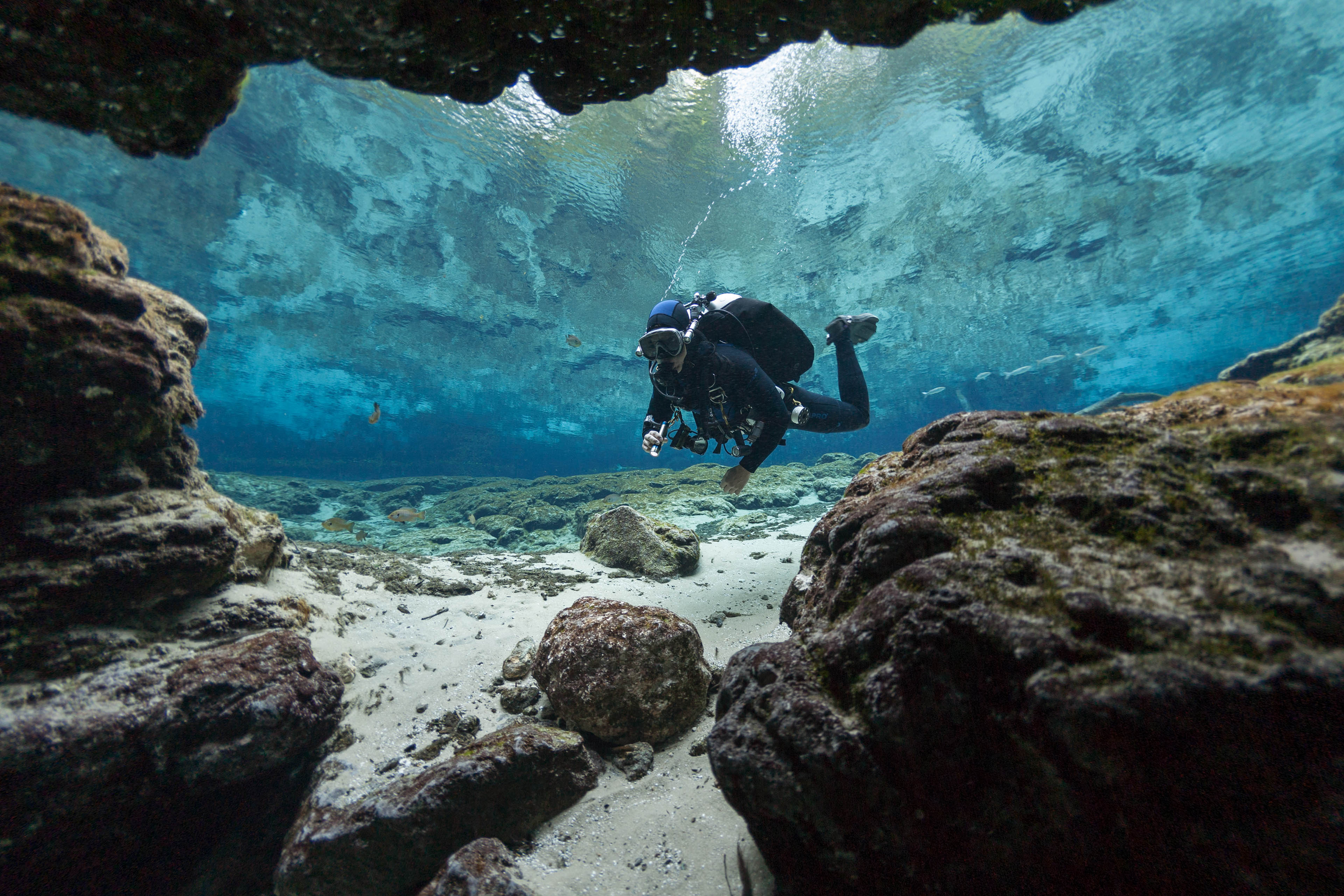 Divers underwater caves diving ginnie springs florida USA