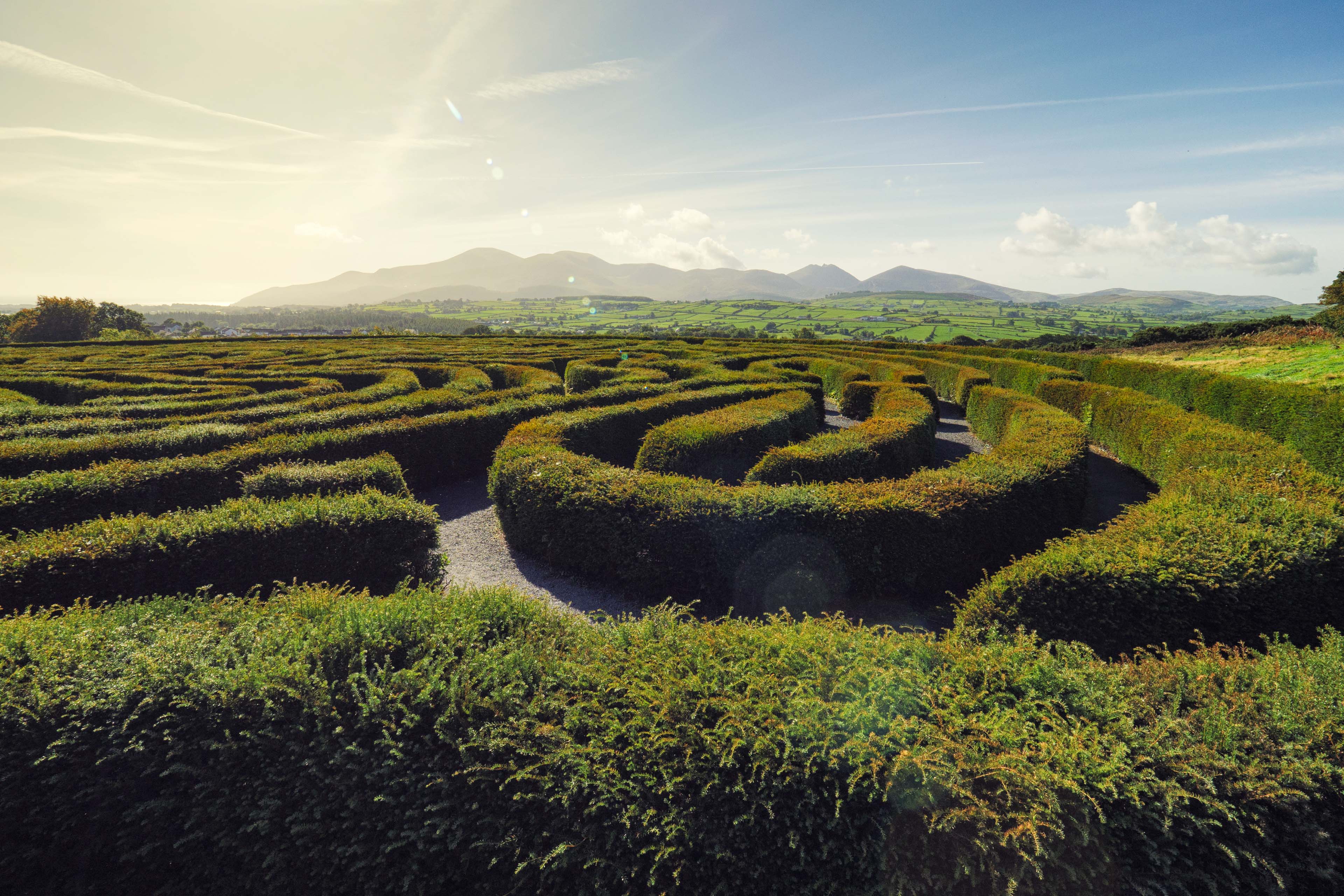 Green maze from above