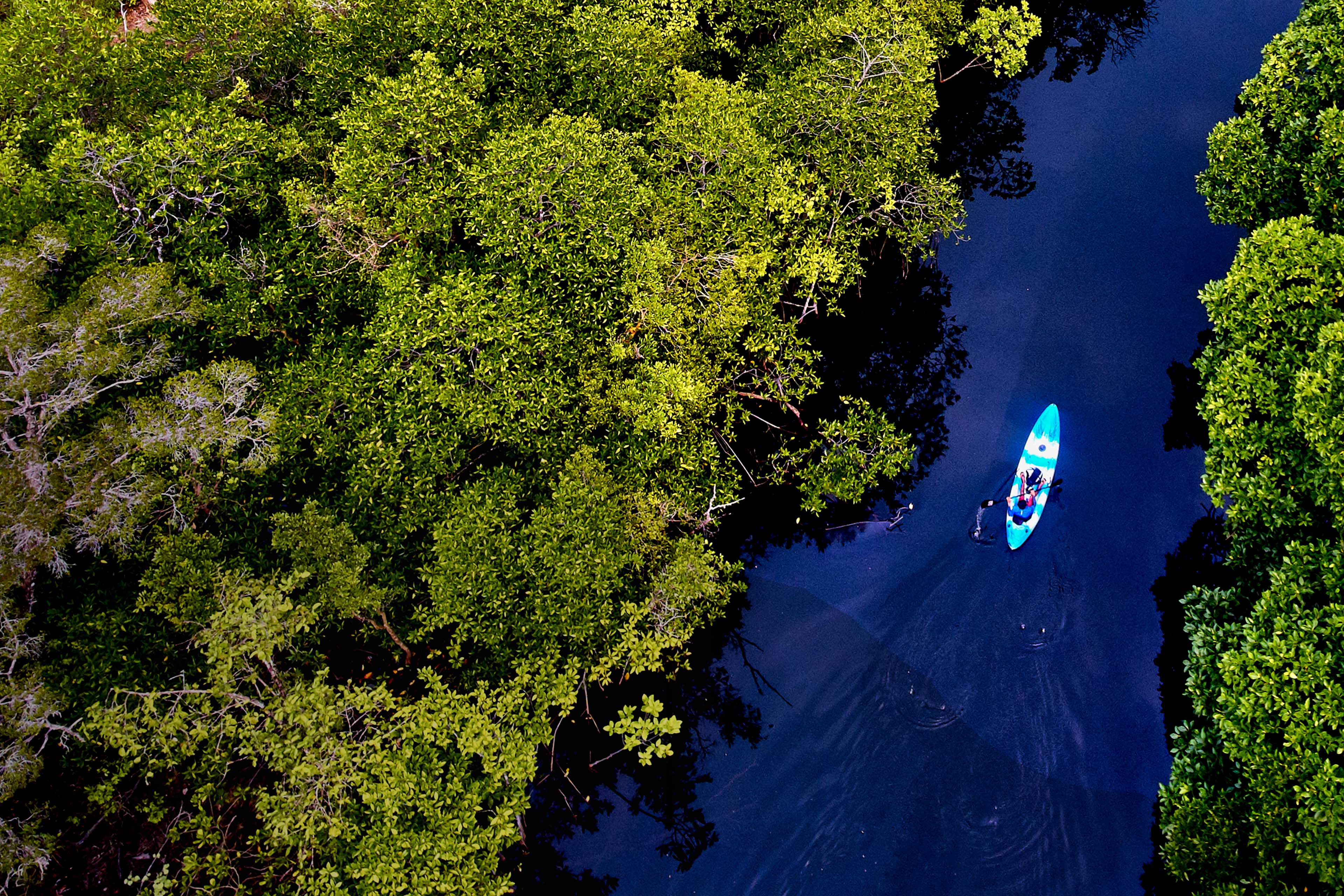 River swamp on kho rong island cambodia