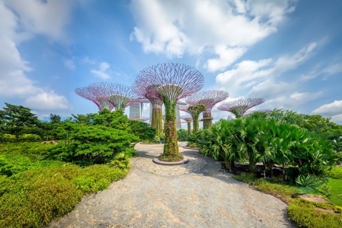 Landscape of Gardens by the Bay in Singapore