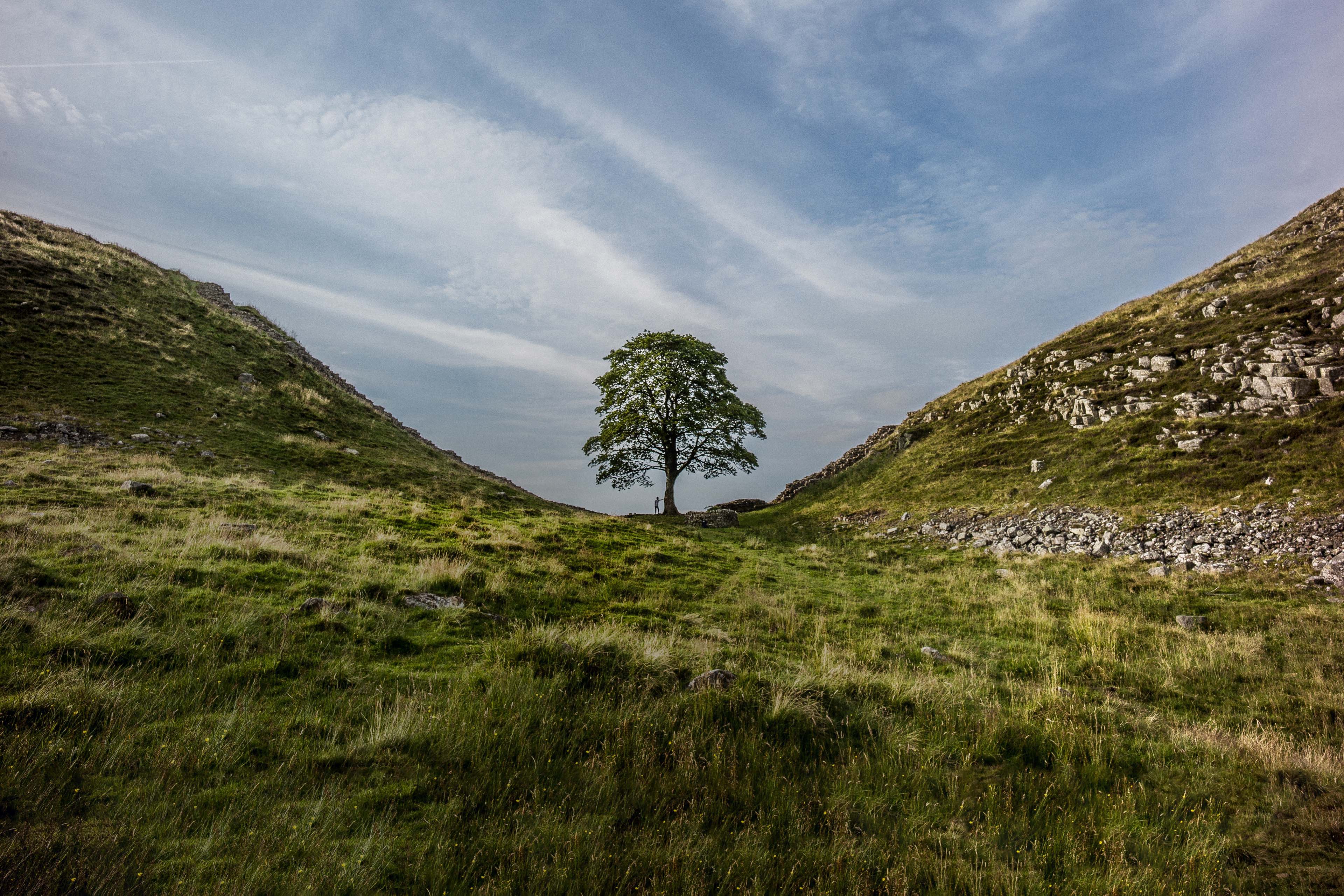 A young boy at Sycamore Gap on the Hadrians wall