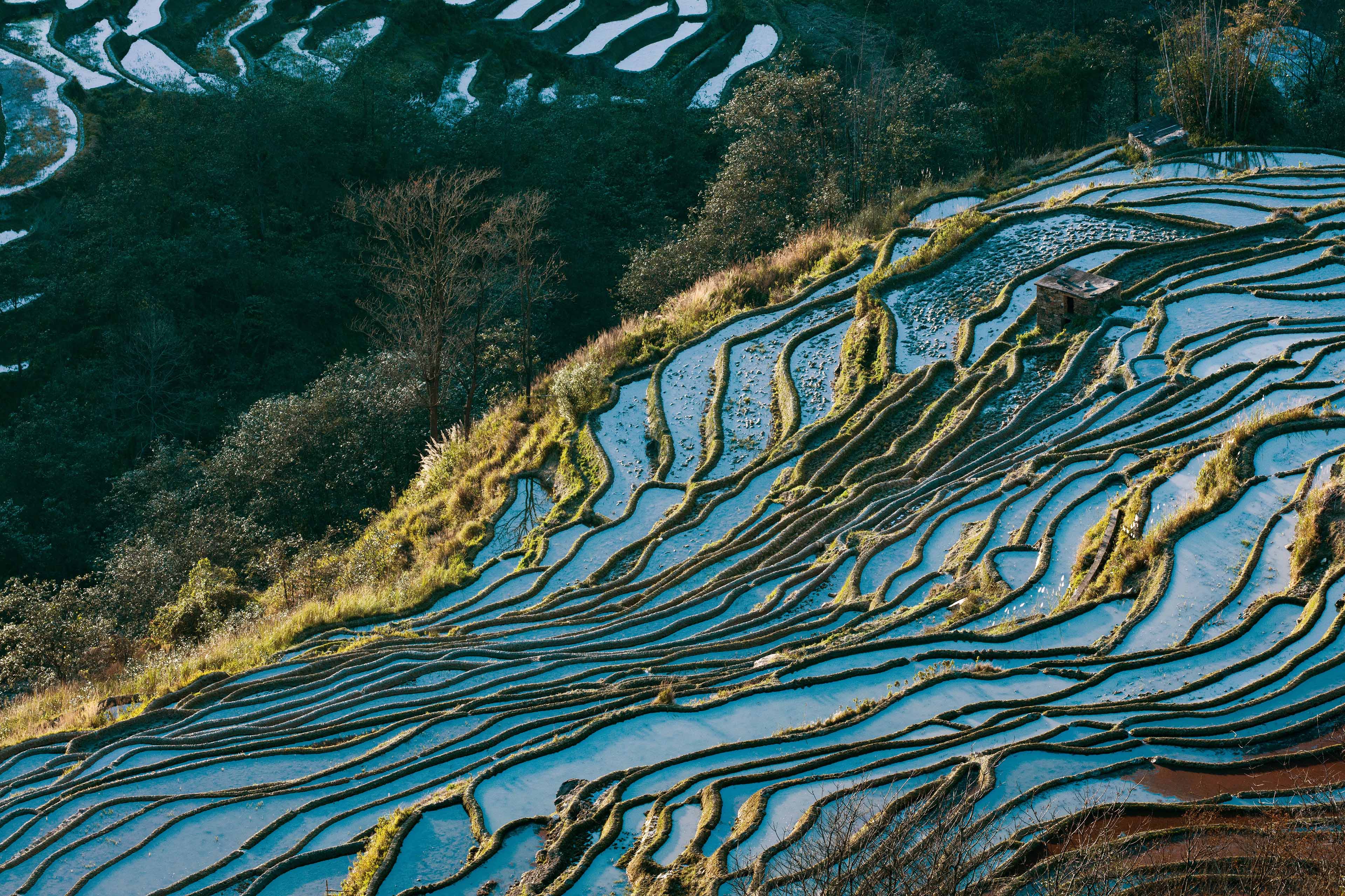 Yuanyang terrace in yunnan province China