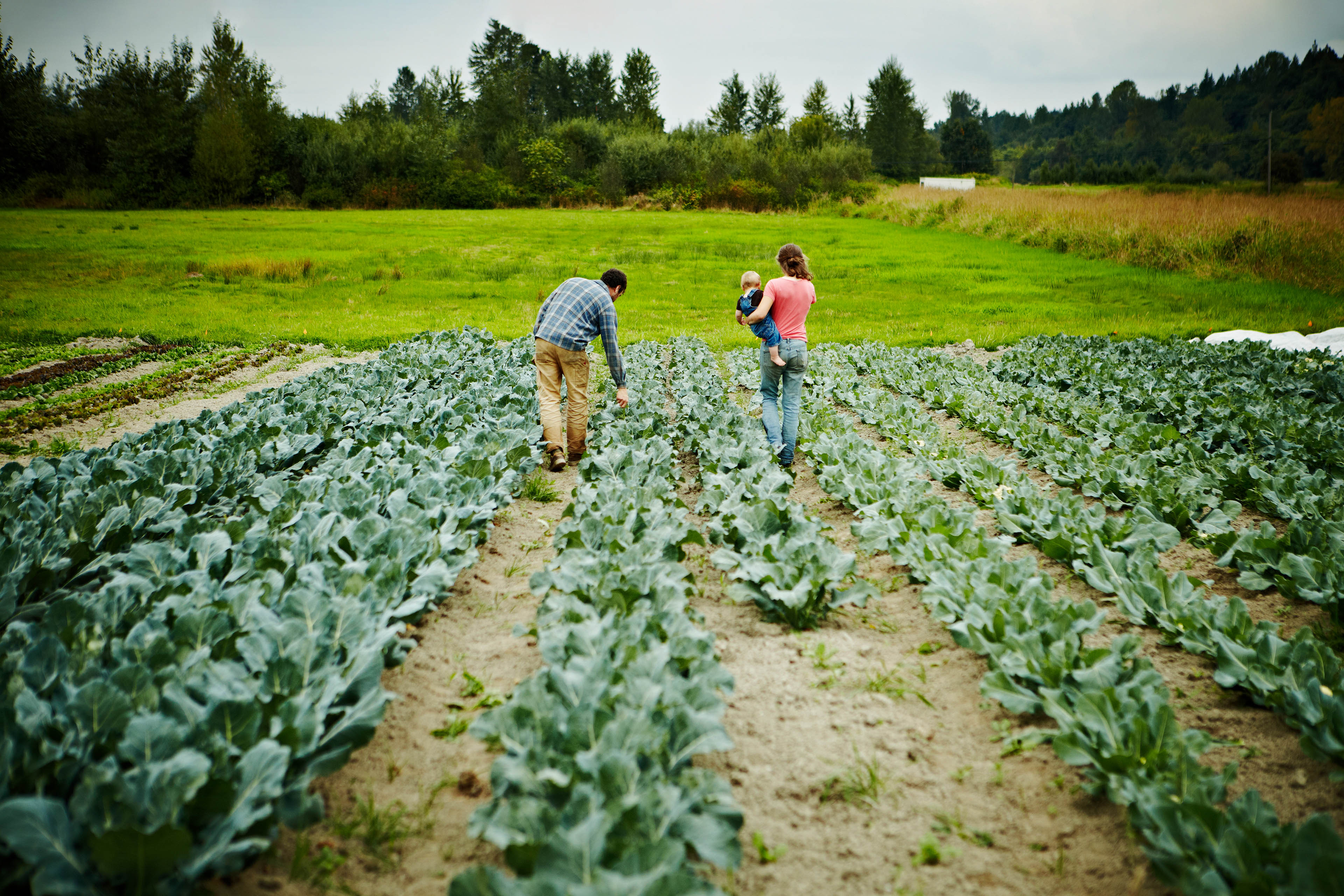 Farmers walking holding baby walking in field