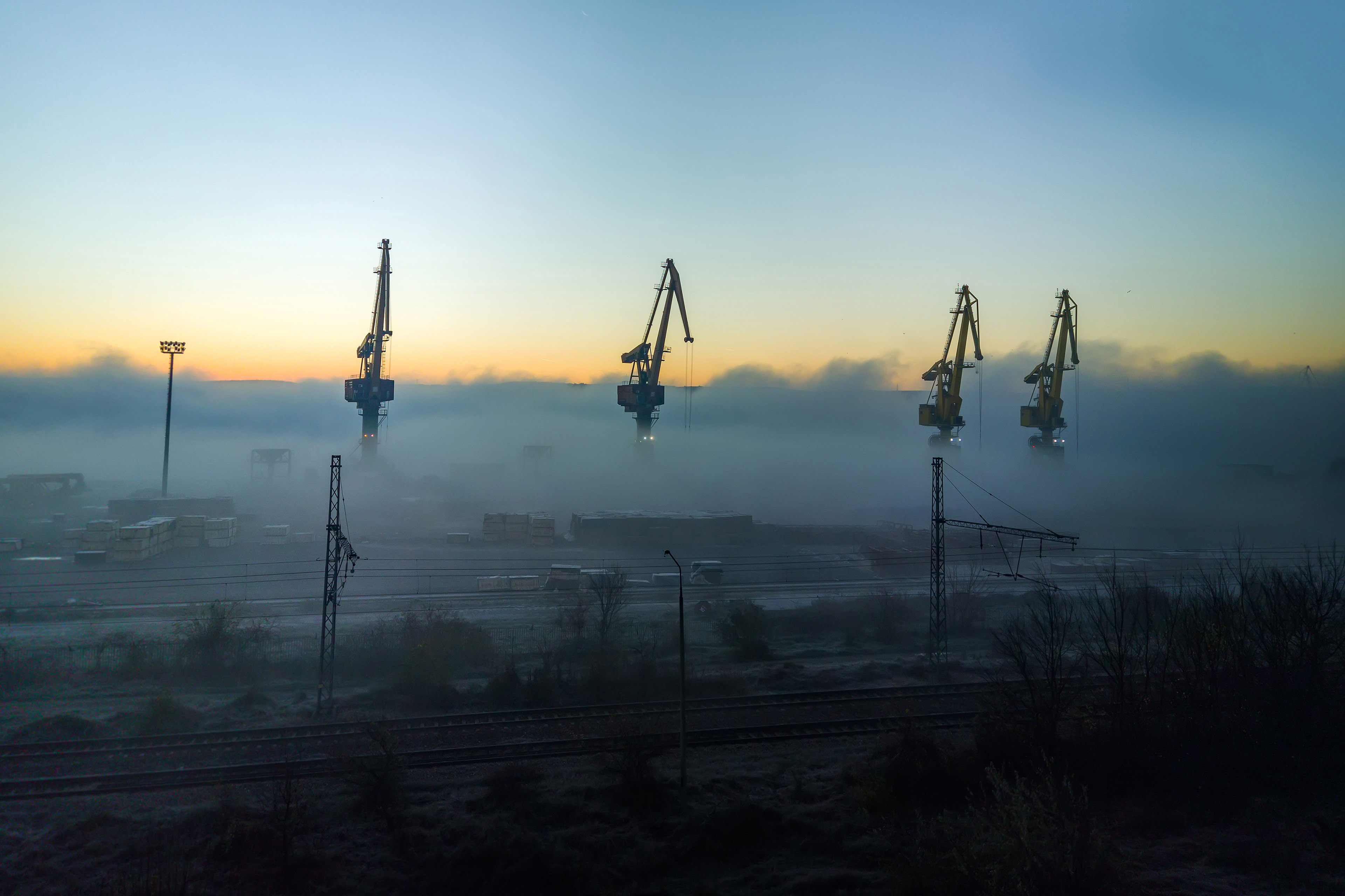 Cranes in the morning mist