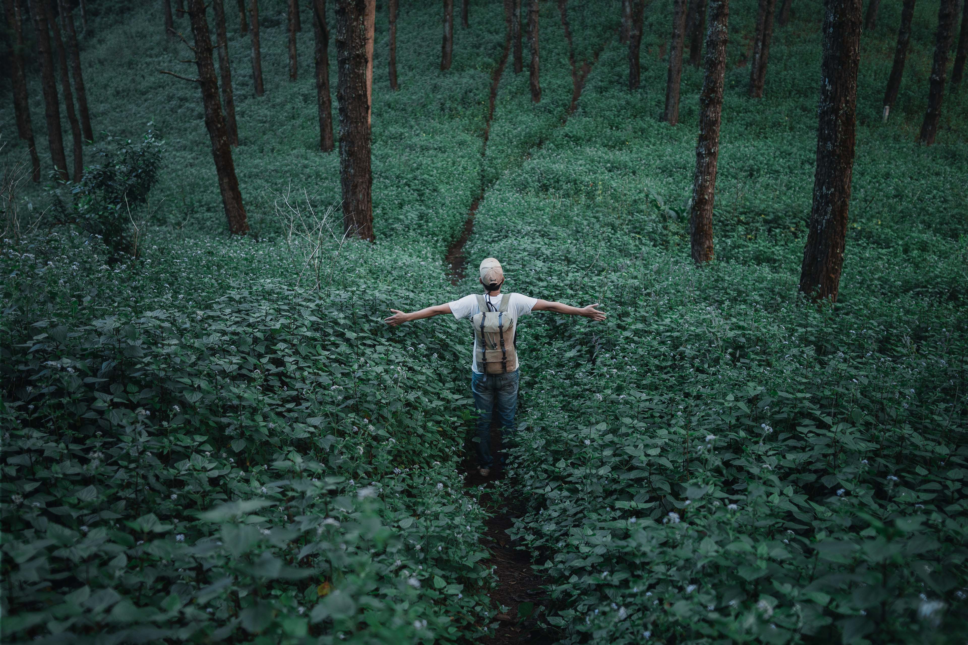 Man standing amidst plants