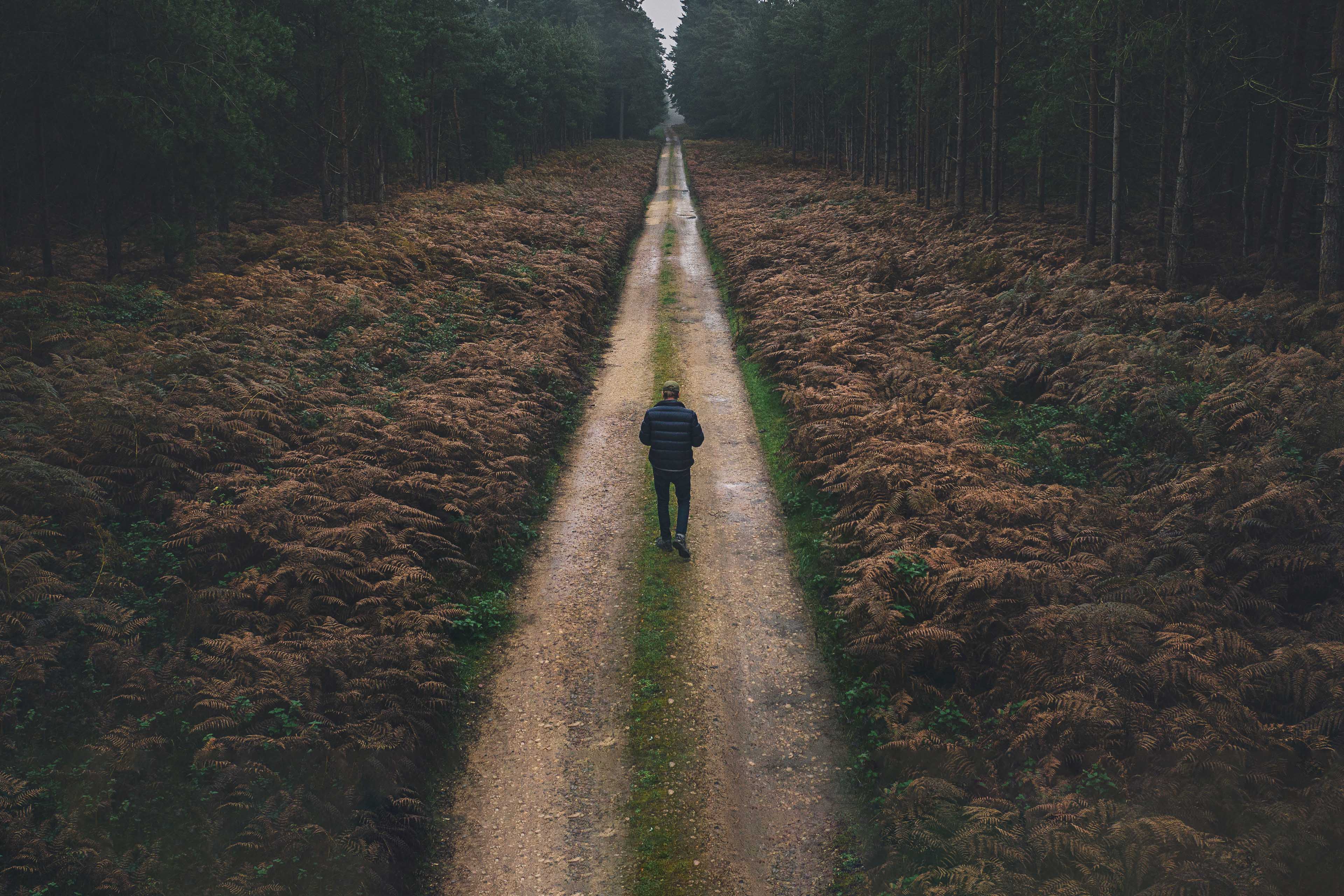 Man walking along forest track