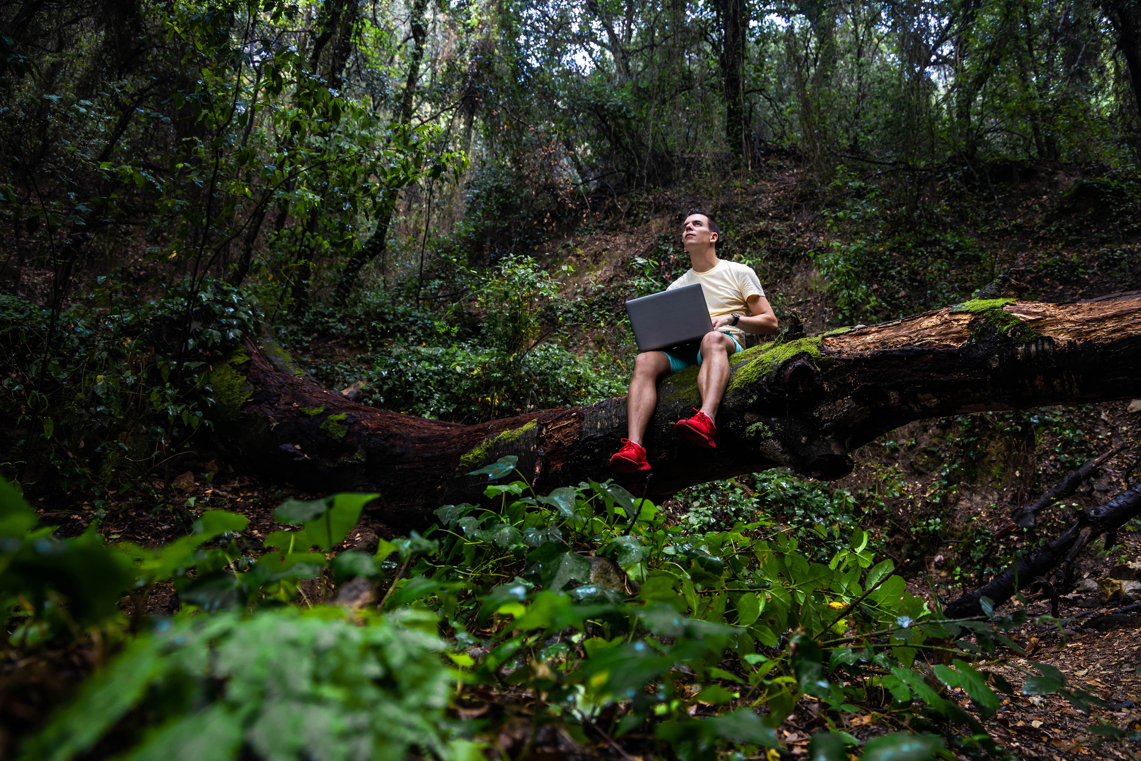 Man working with laptop in a remote place sitting above a broken tree