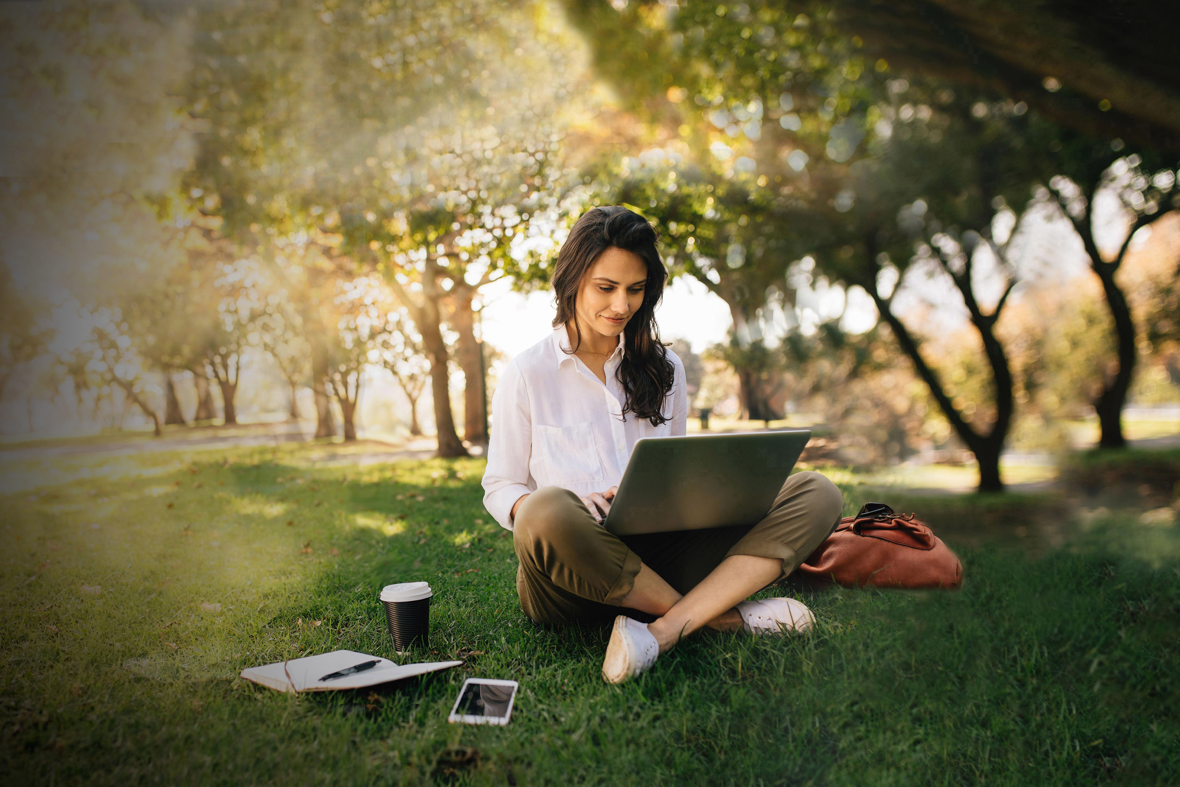 Freelancer working on laptop on green lawn in park