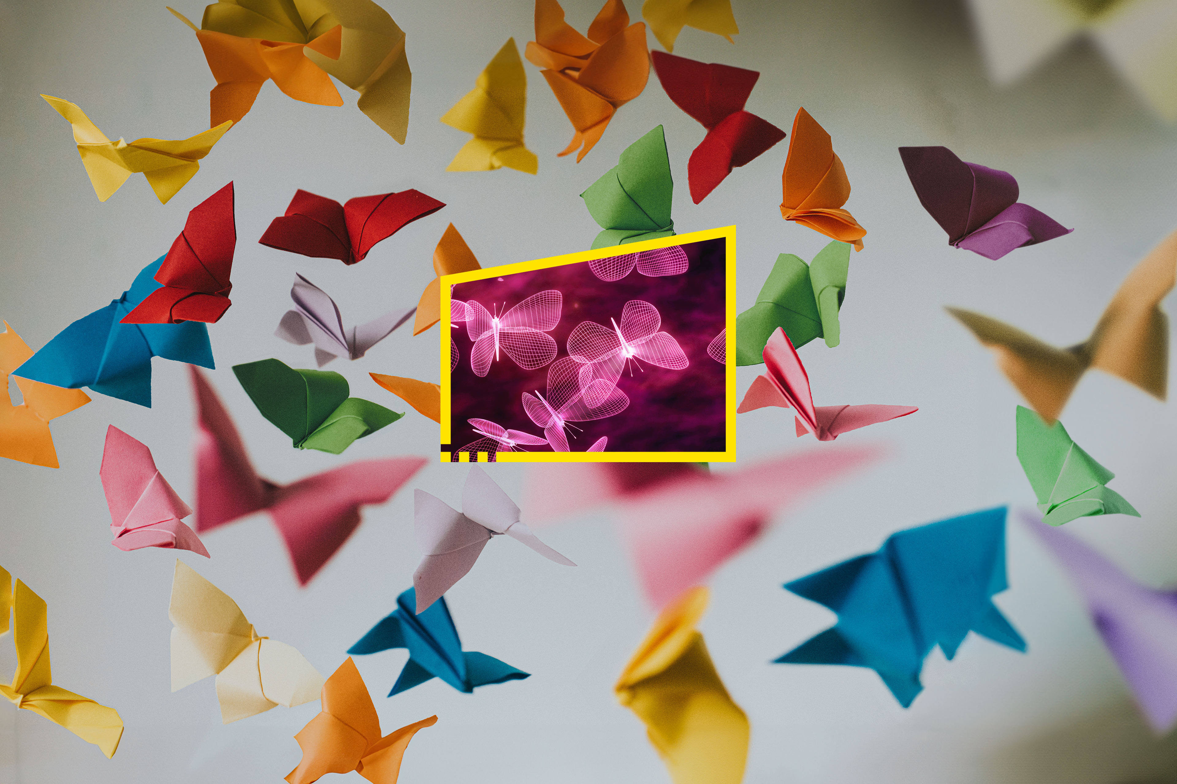 Reframe your future origami digital butterflys