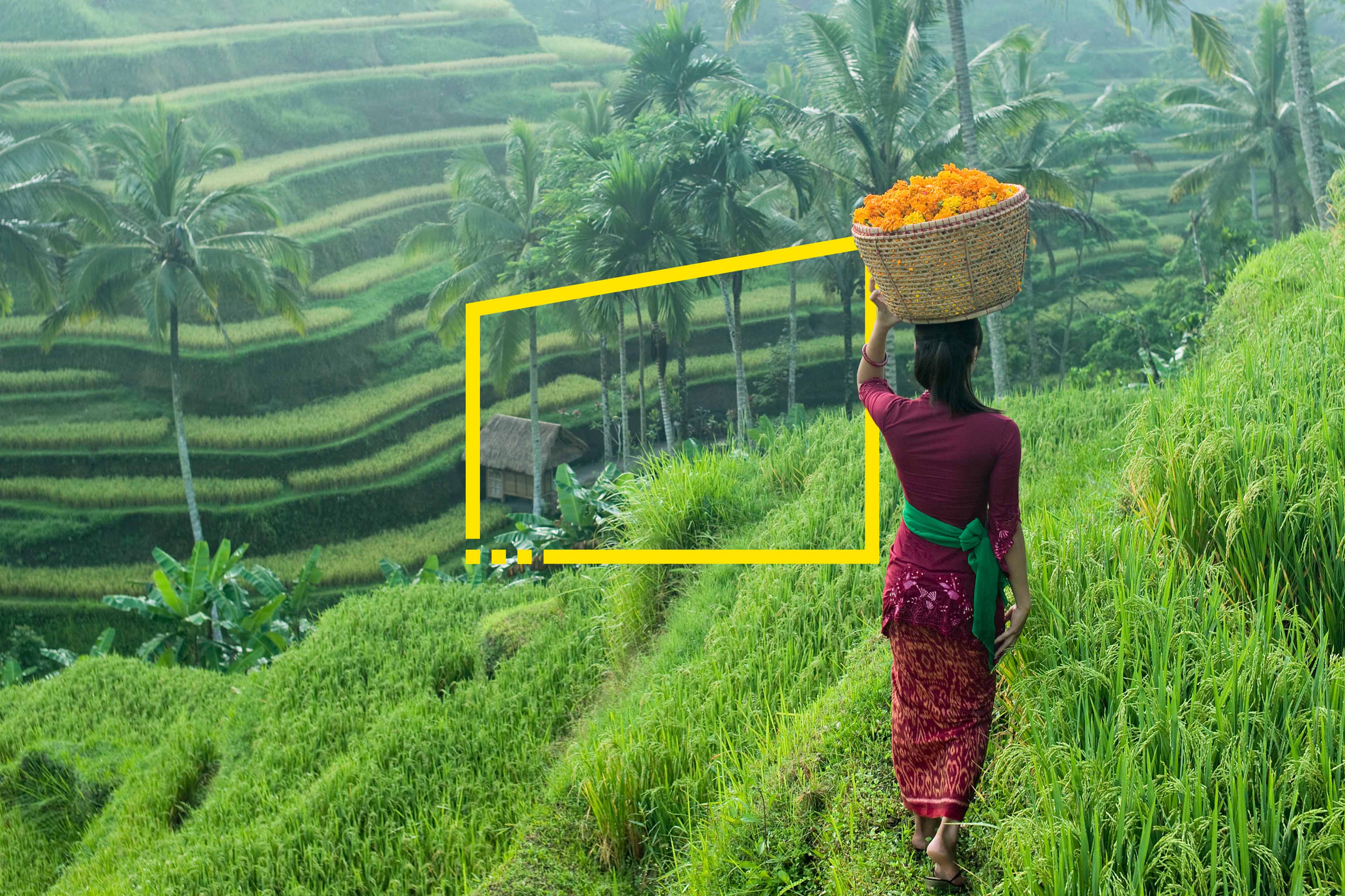 Woman carrying basket of flowers static